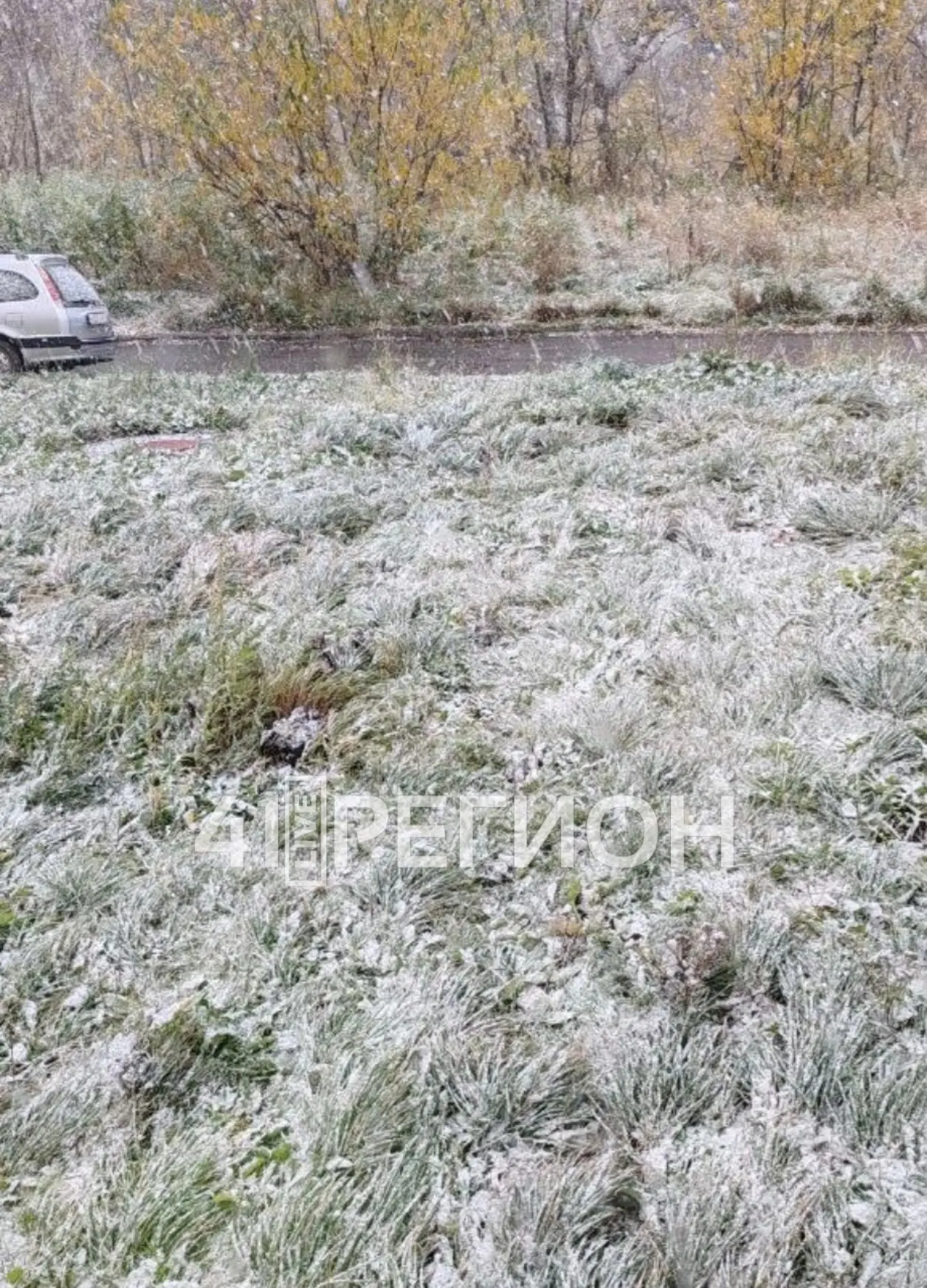 Подписчики продолжают делиться фотографиями с первым осенним снегом ❄️