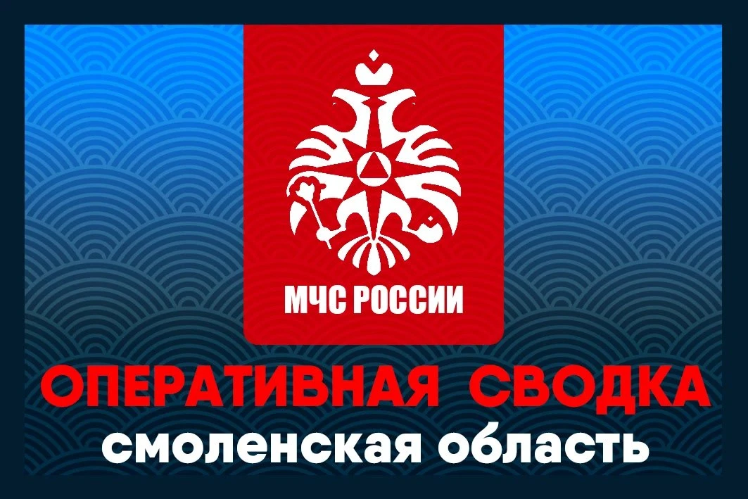 В Смоленске на повороте на улицу Подлесная столкнулись два легковых автомобиля. Авария ...