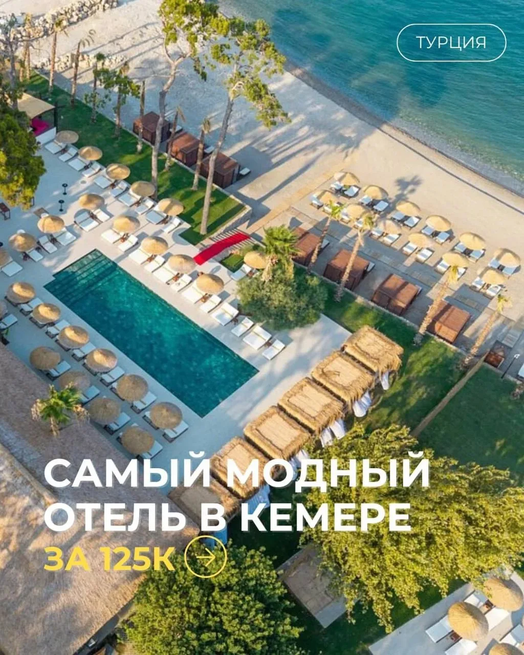 Молодежная новинка 2025 года в модной концепции

В июле в программе концерт Валерия Миладзе, в авгус