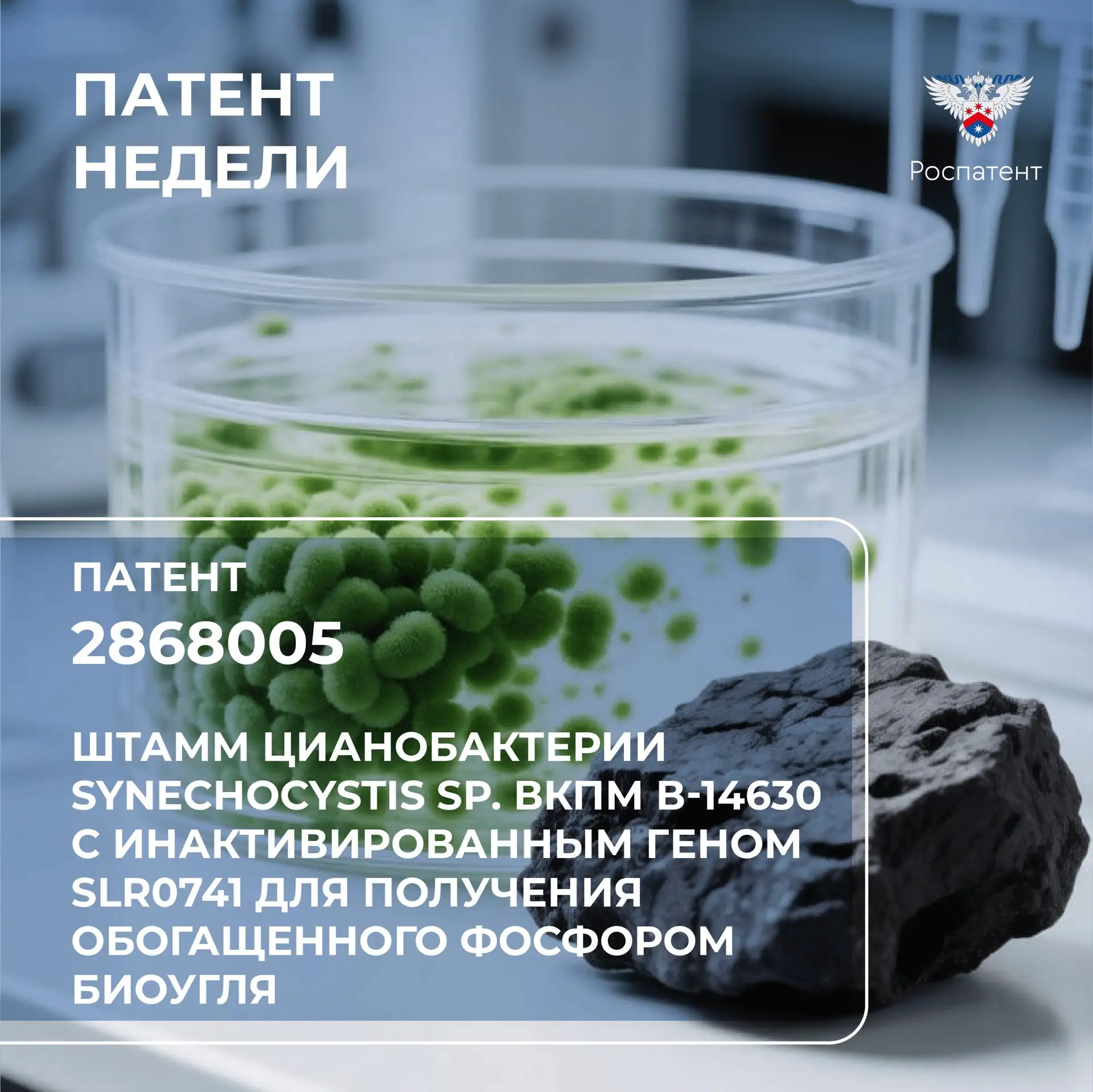 #ПатентНедели