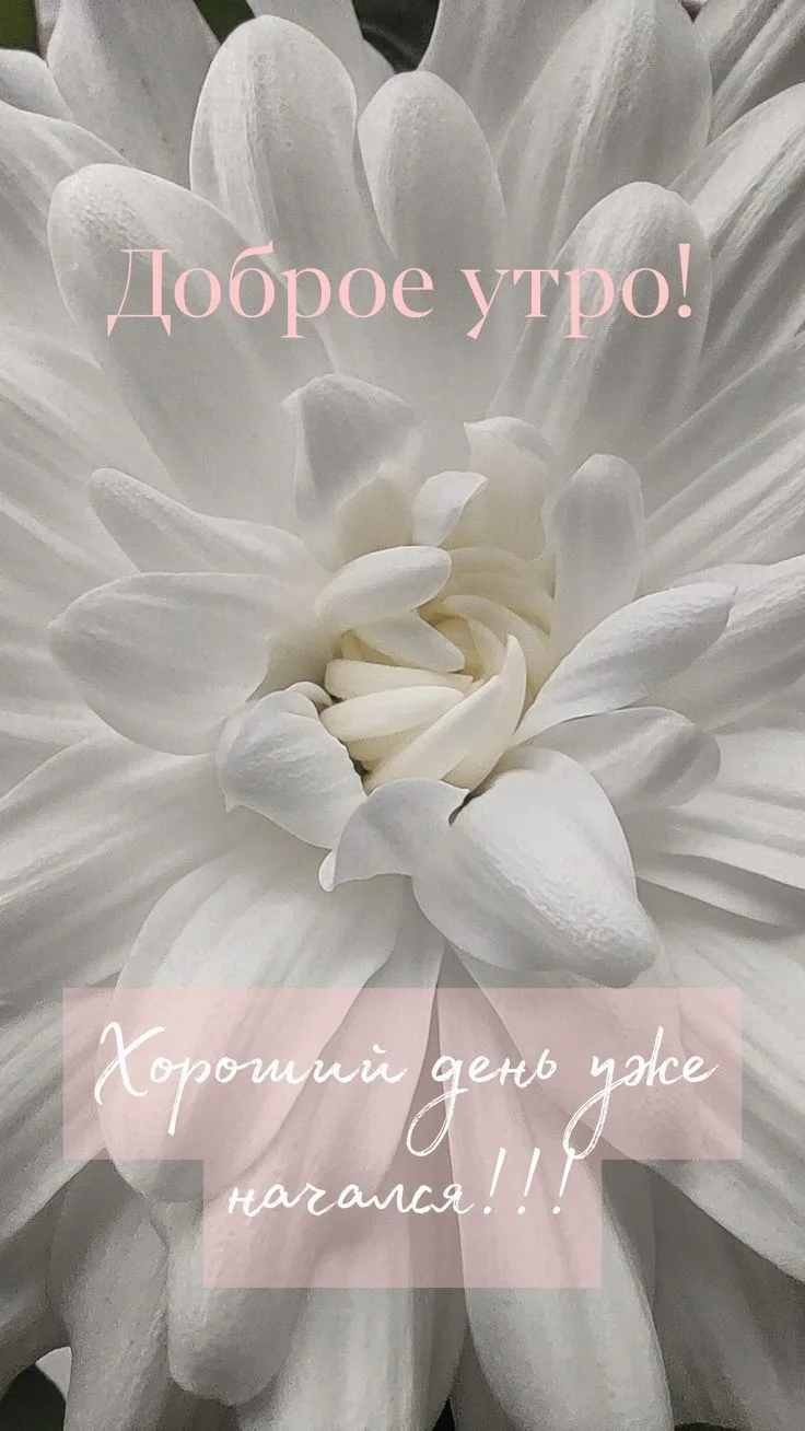 💞ЭСТЕТИЧНЫЕ ОТКРЫТКИ💞