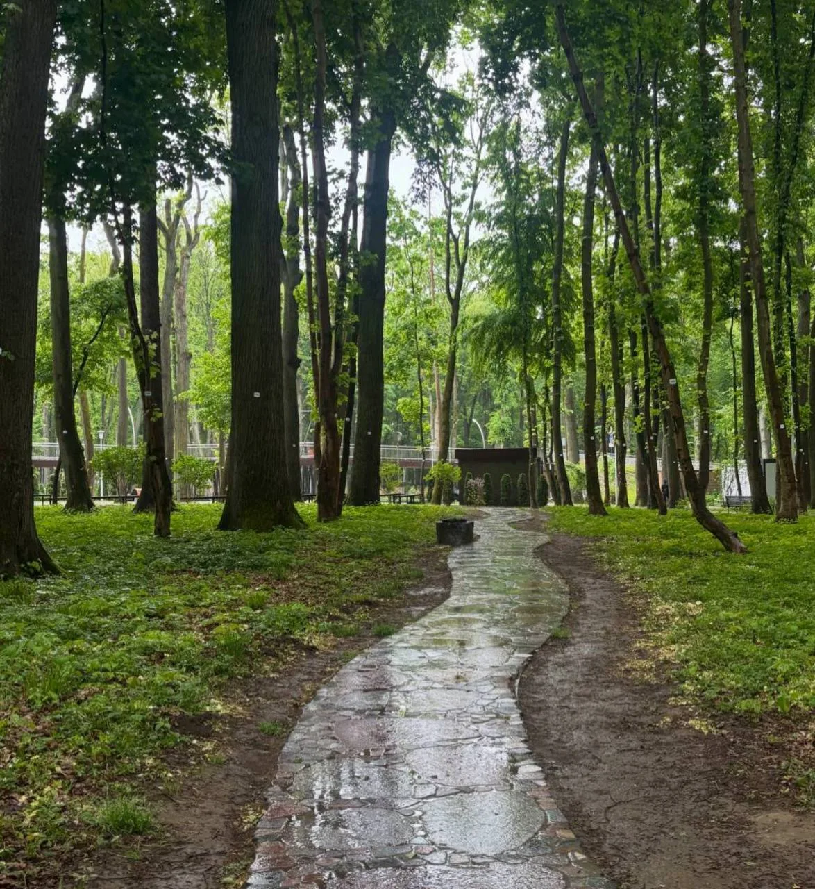 Доброе утро, друзья🍂