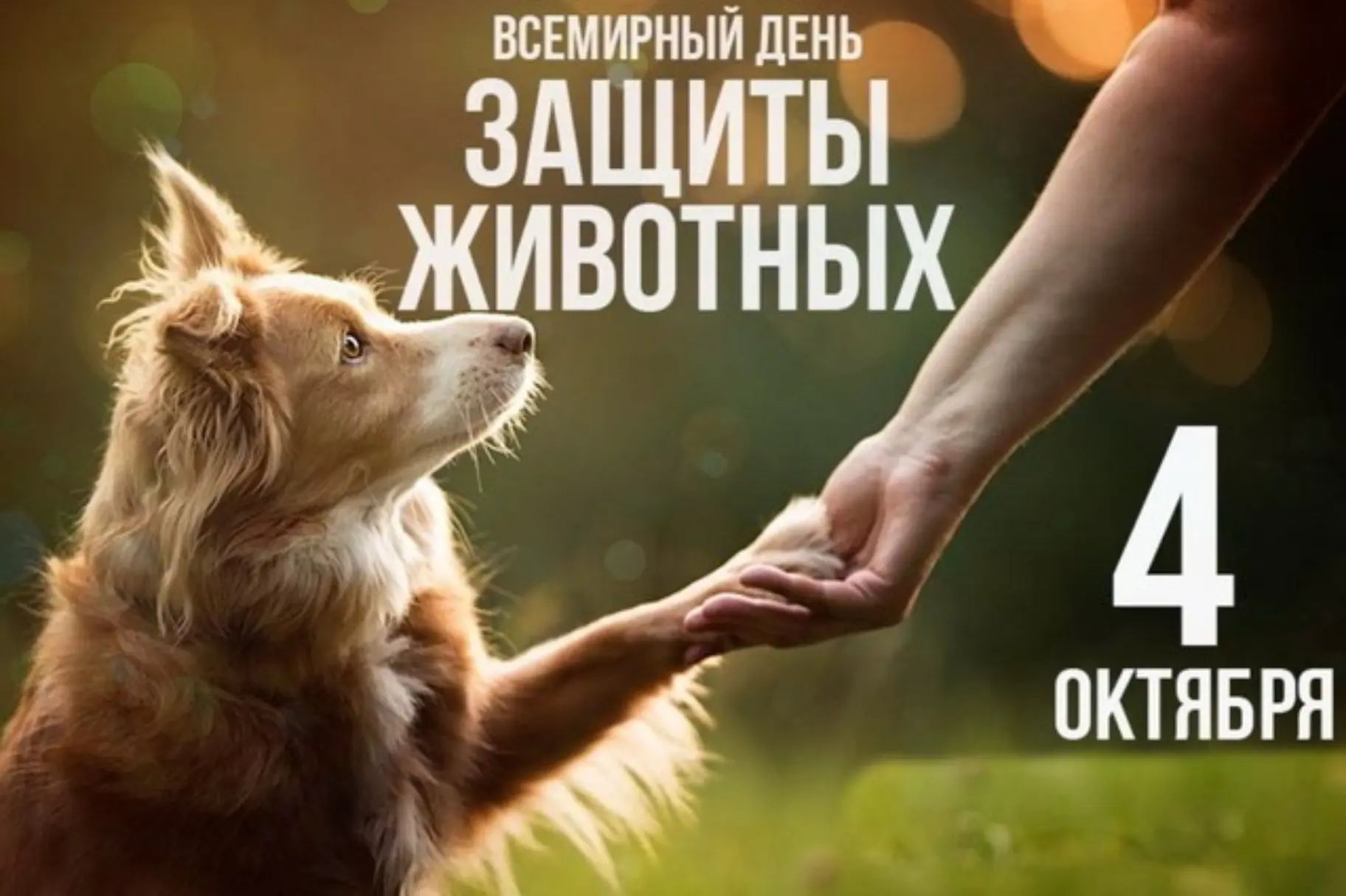 4 октября - Всемирный день защиты животных 🐾