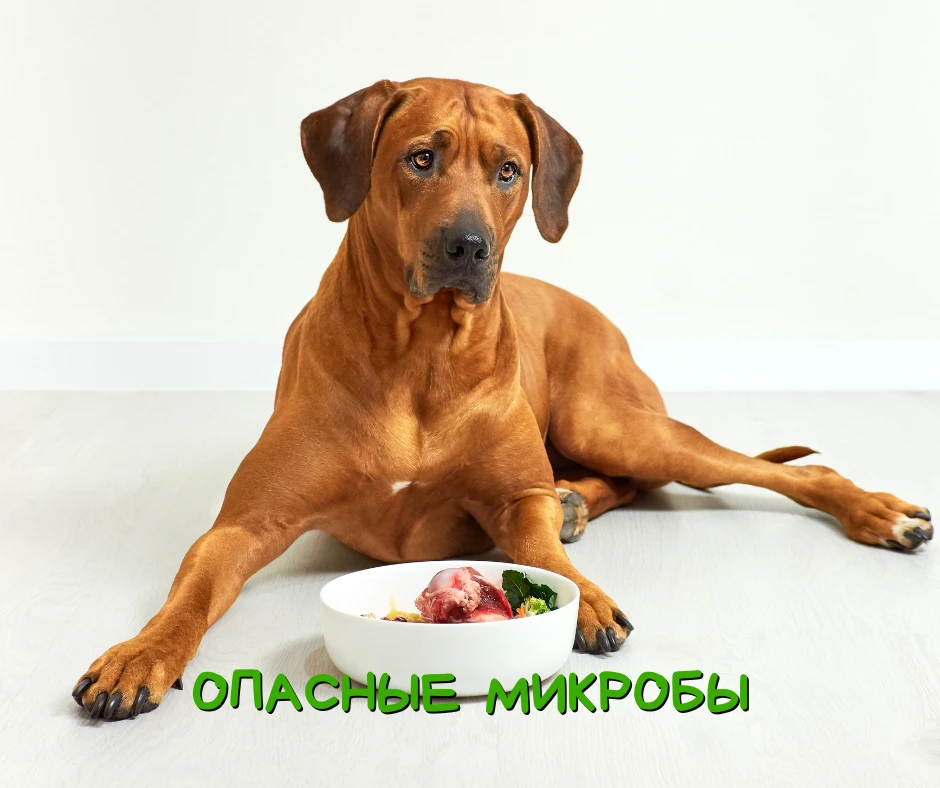 Лето показывает, у кого дома реально чисто.
