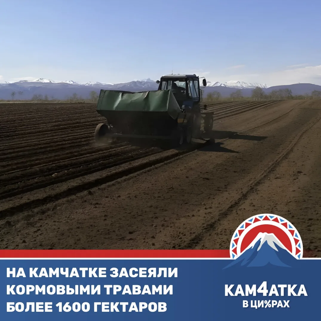 Посев кормовых трав на Камчатке успешно выполнен уже более чем на 70%

Аграрии вовсю переключились н