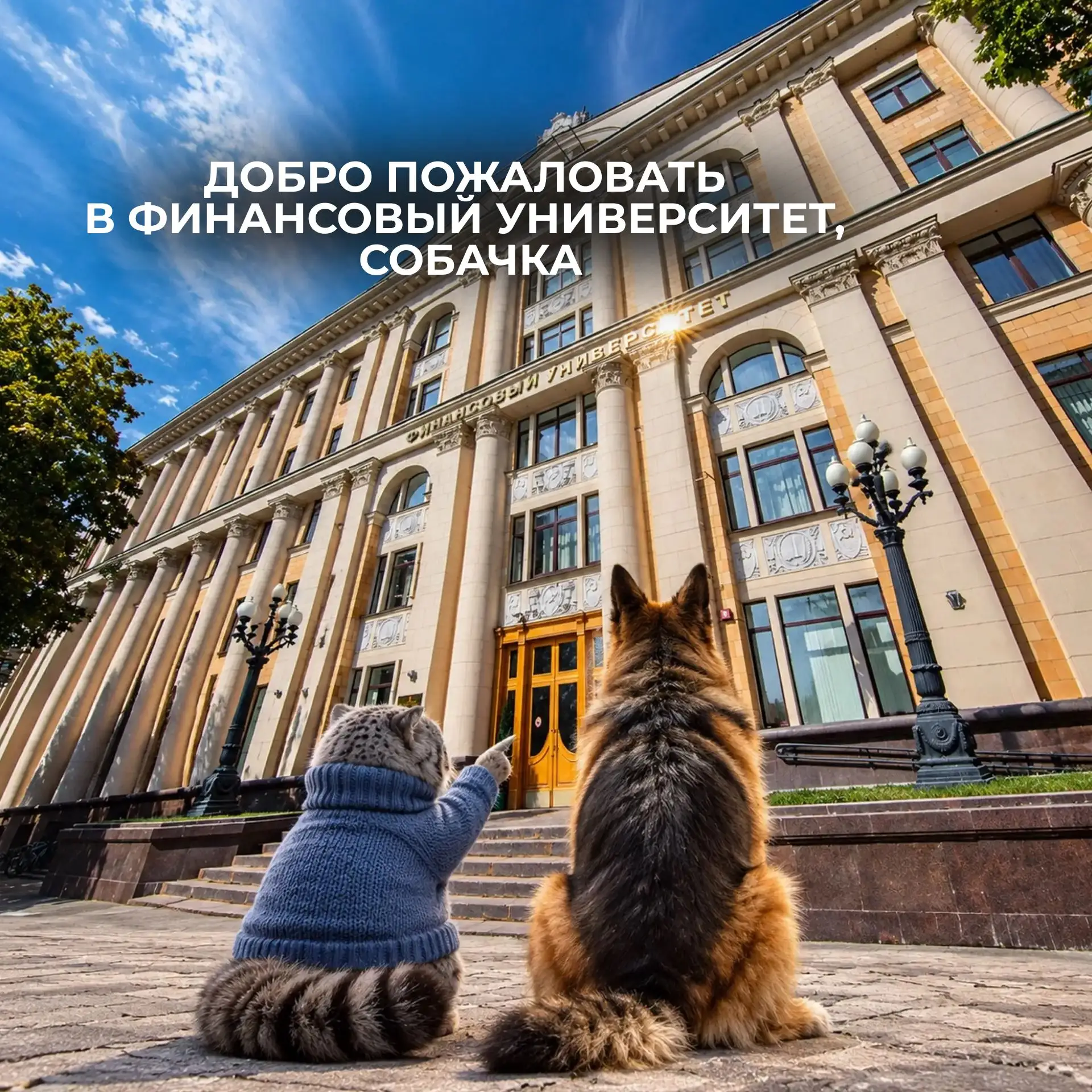 Манул Финик взял собачку на экскурсию по Финансовому университету 🔍