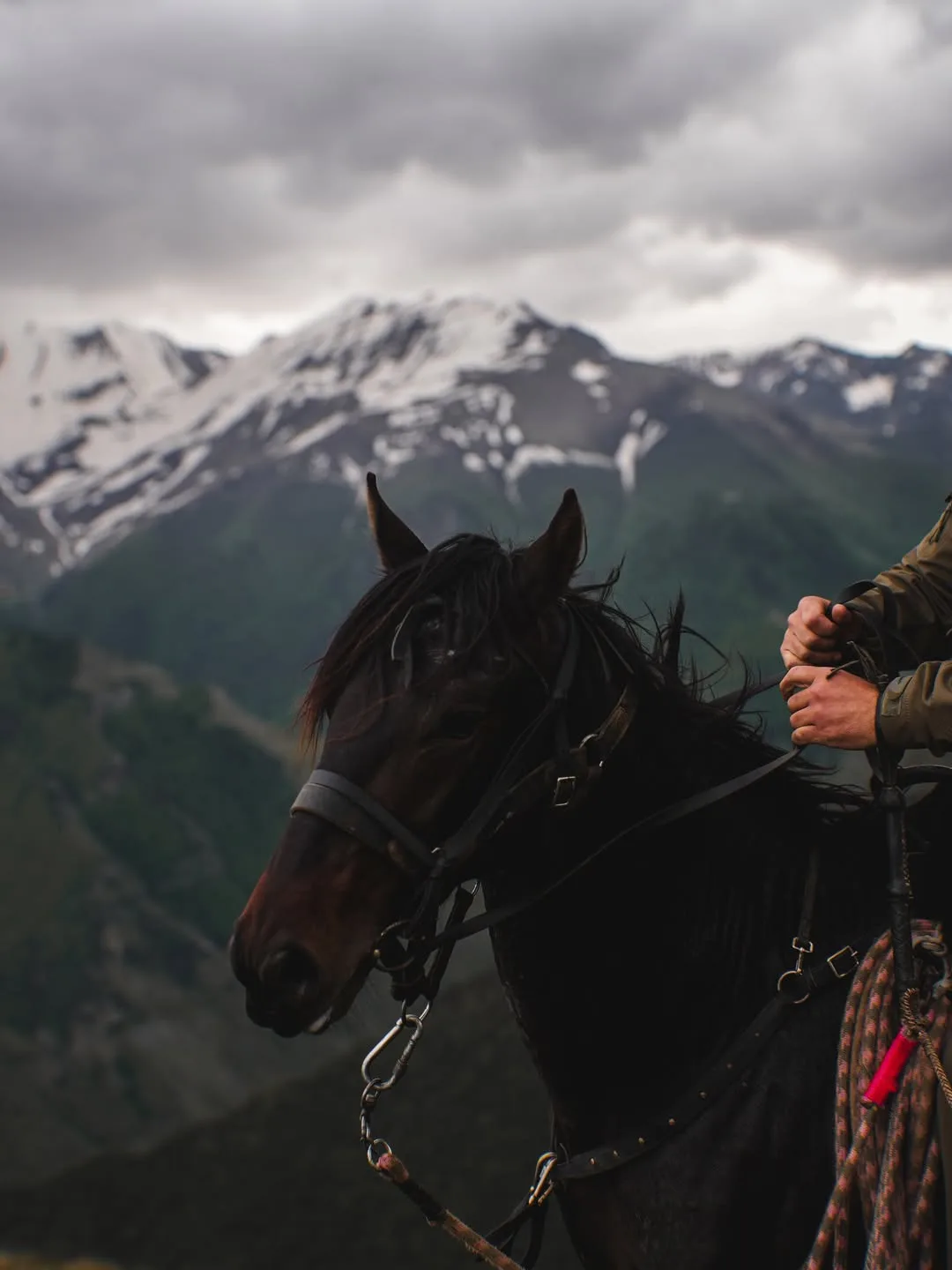 ⛰️ Тревел-блогер Камил Узден поделился кадрами конного похода по селу Ириб Чародинского района.