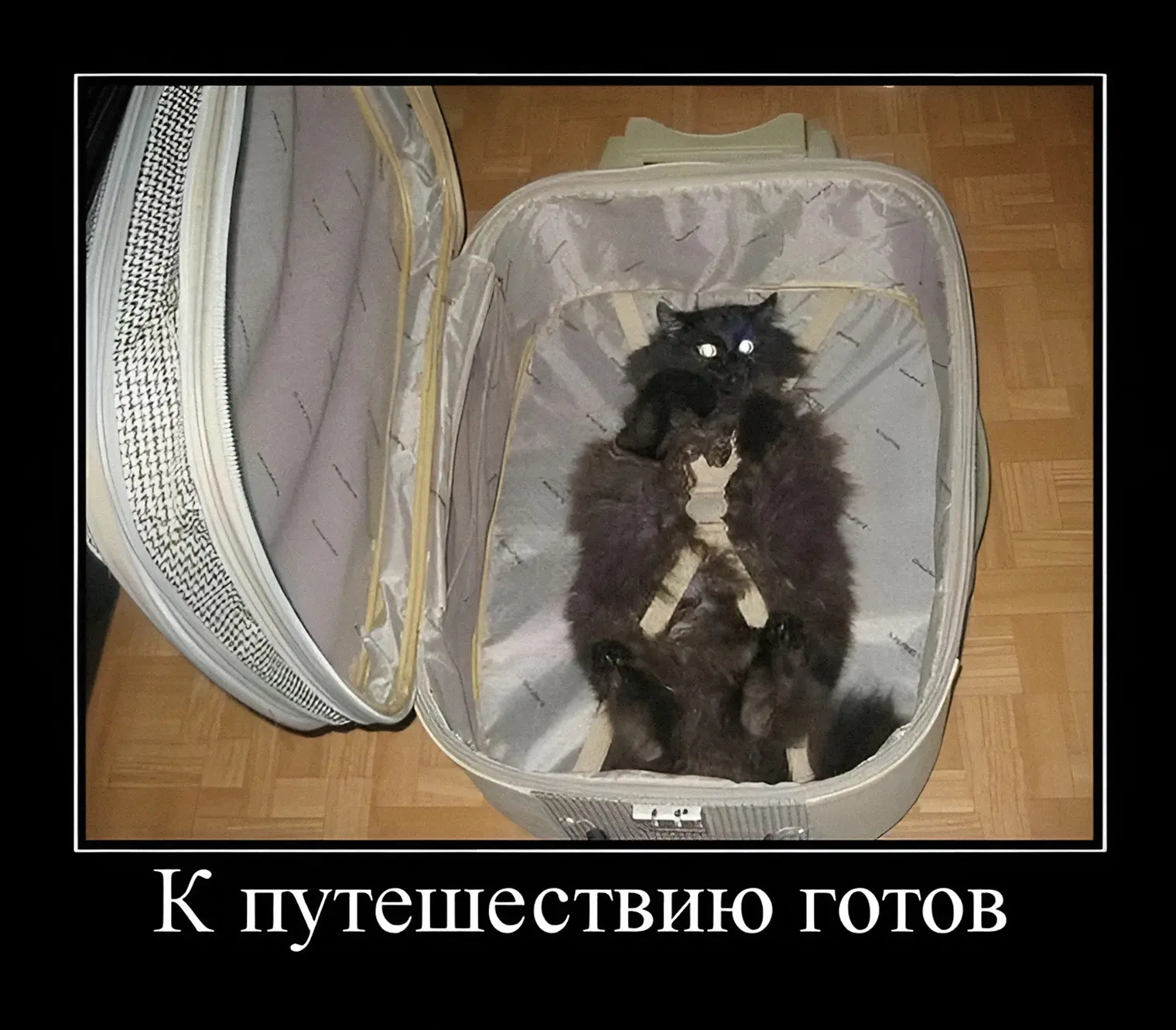 Кажется, кто-то уже готов к путешествию… 🧳