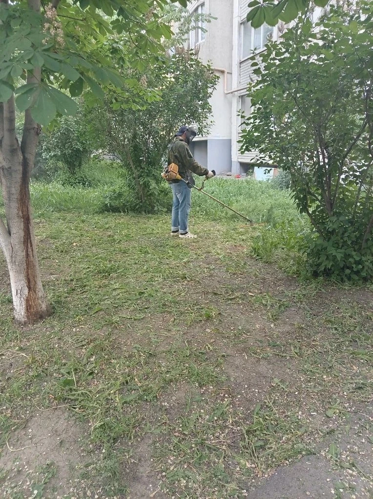 Покос травы и благоустройство придомовой территории дома 27Б по ул. им. Тархова С. Ф.