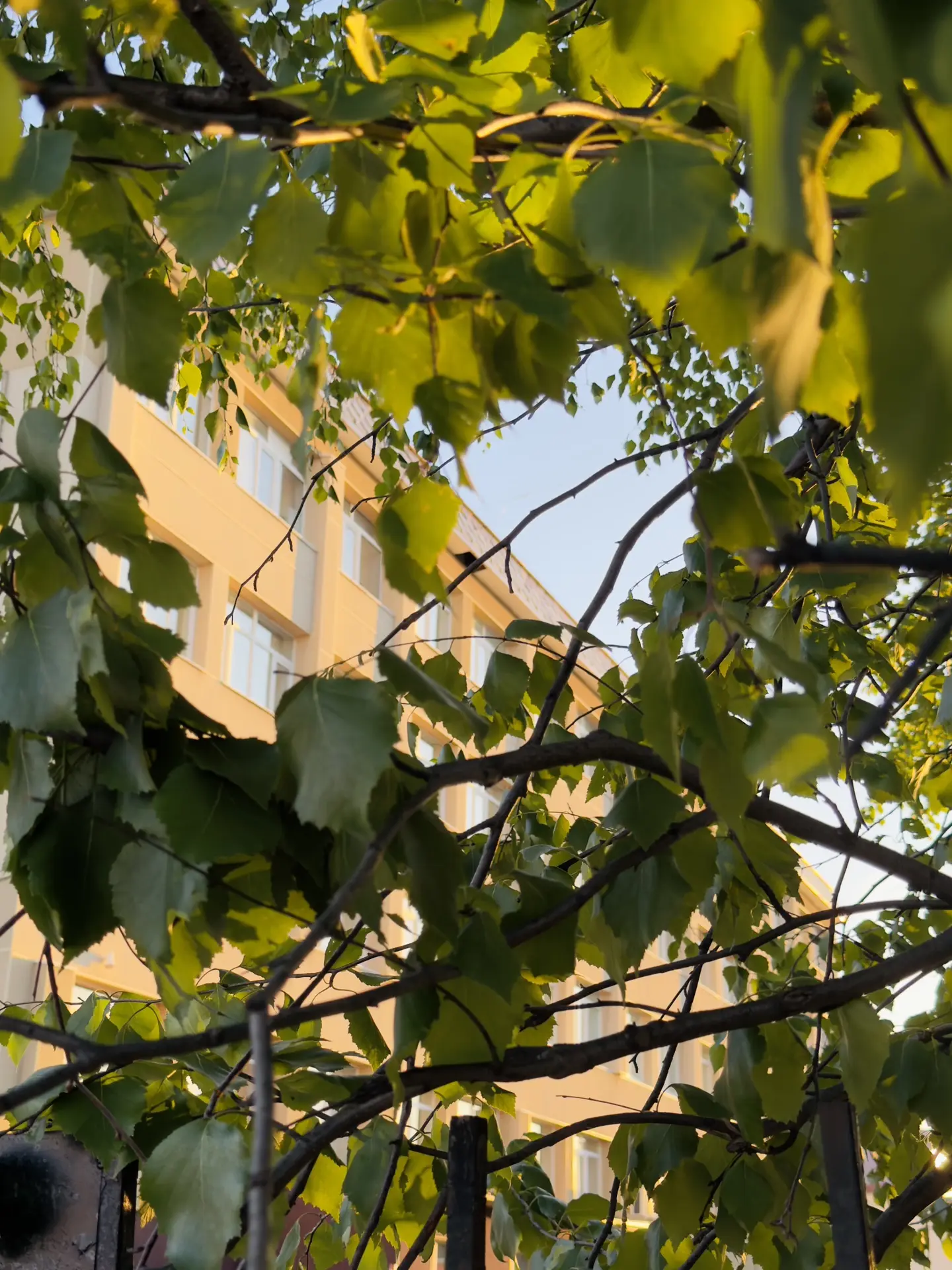 Доброе утро, НВГУ ☀️🌿