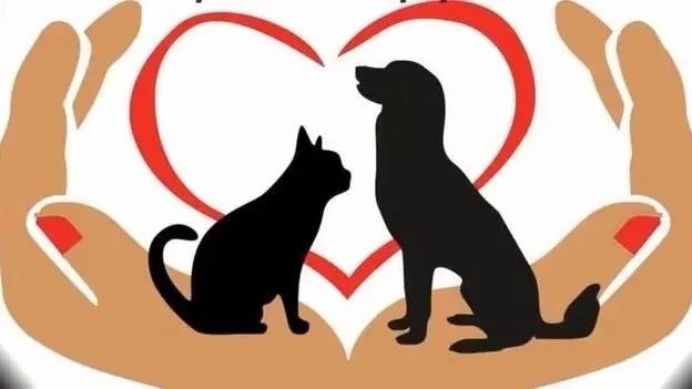 БРАТЬЯ НАШИ МЕНЬШИЕ 🐶🐱