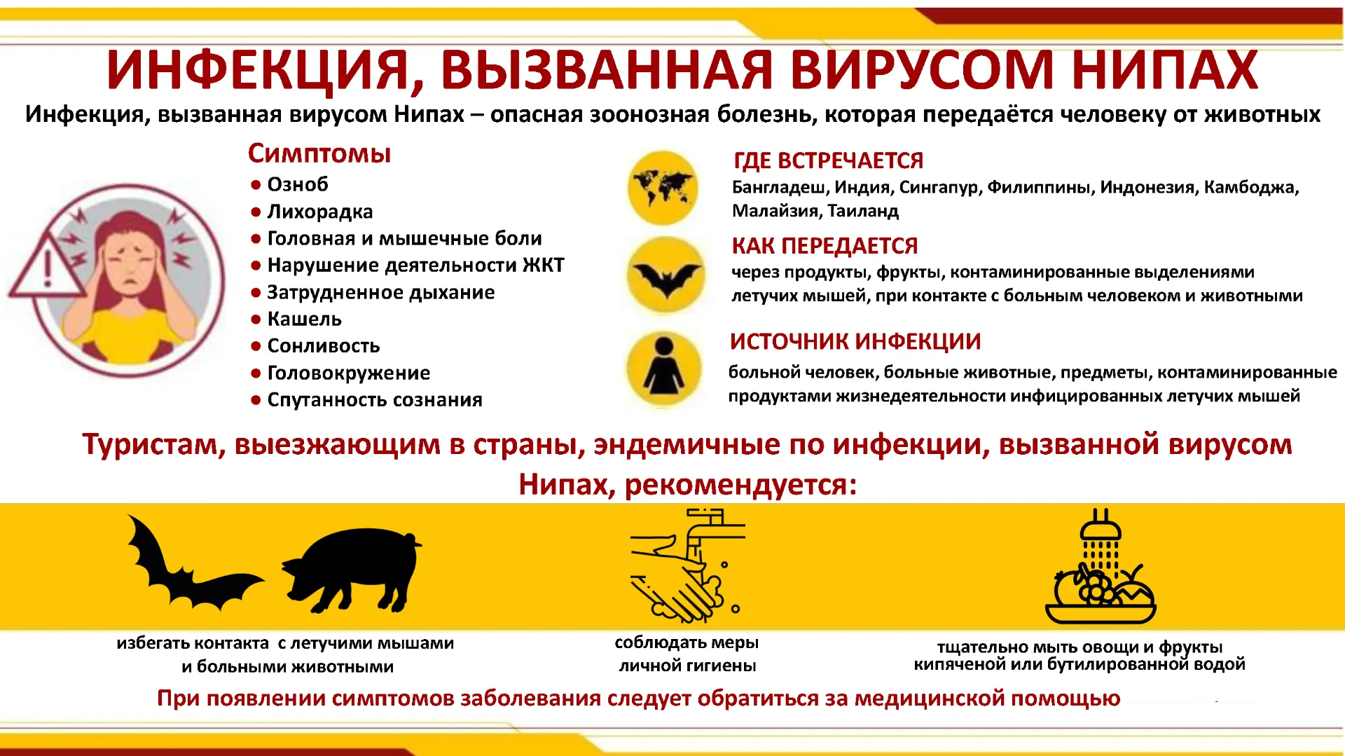 Вирус Нипах (далее БВВН) впервые обнаружен в 1999 году в Малайзии. Вспышки БВВН часто р...
