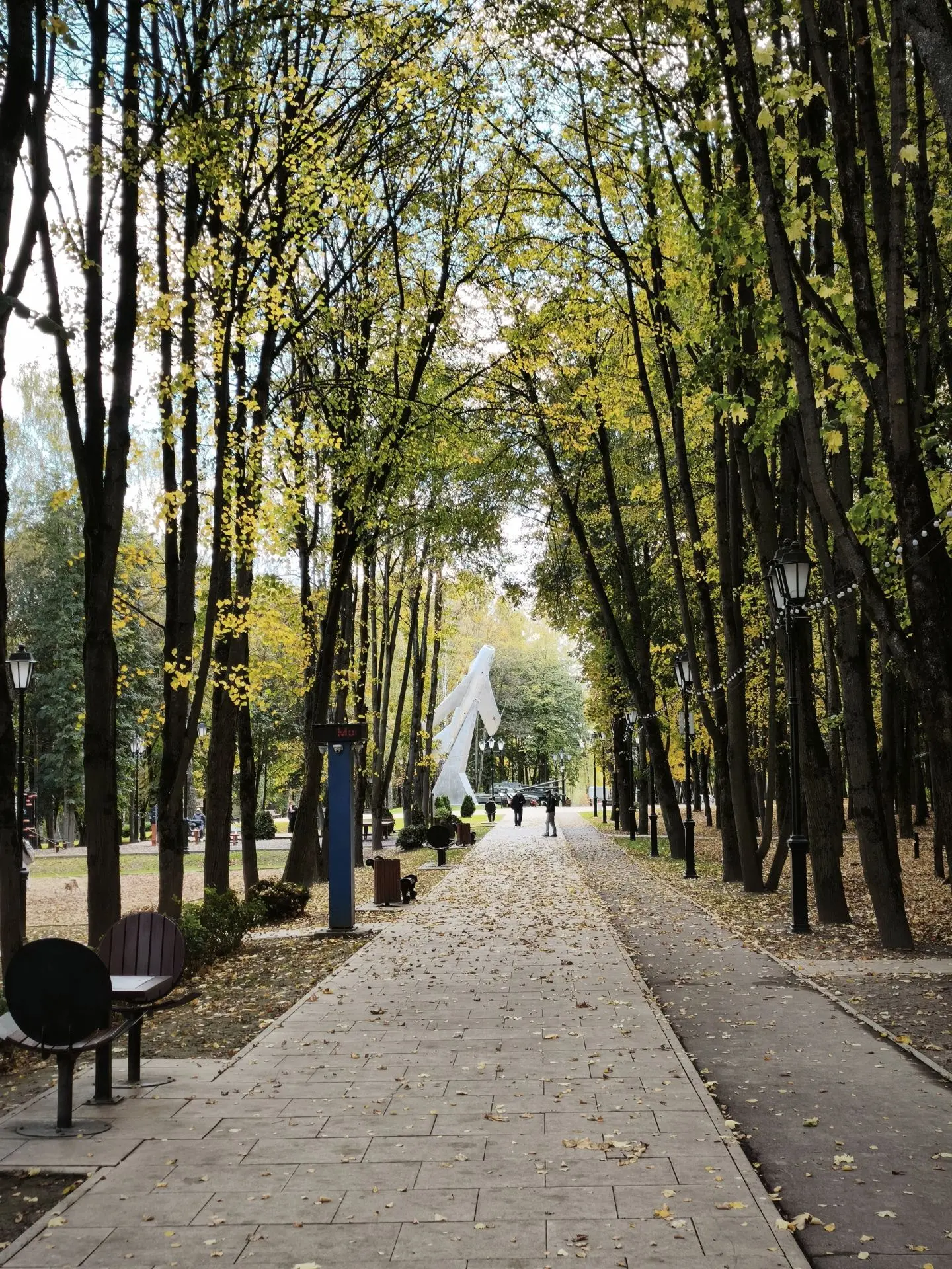 Доброго утра и пятничного настроения 🤗🍂