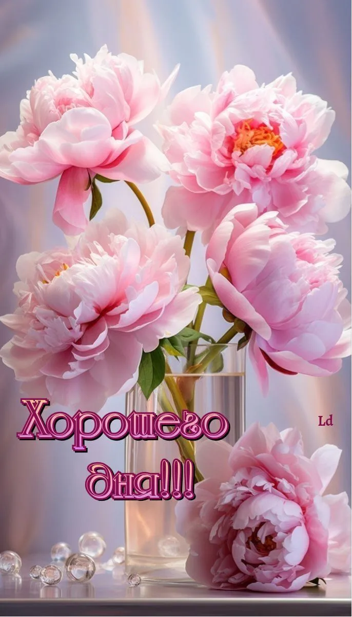 ✨Ждем ваши реакции✨