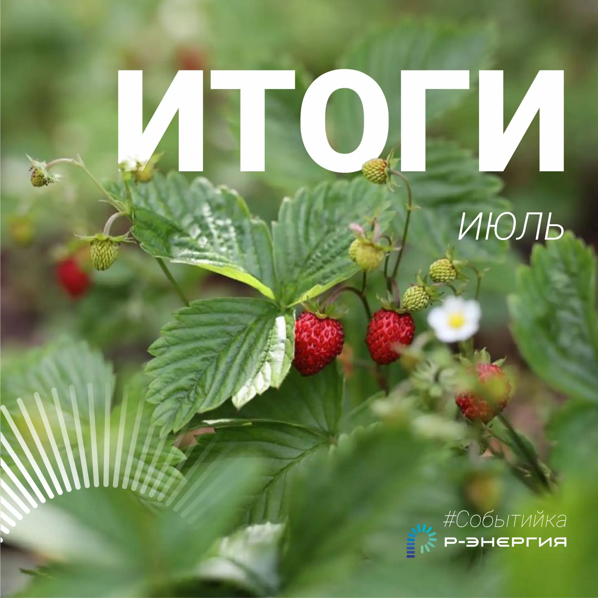 Июль пролетел, и мы спешим поделиться, чем он нам запомнился!☀