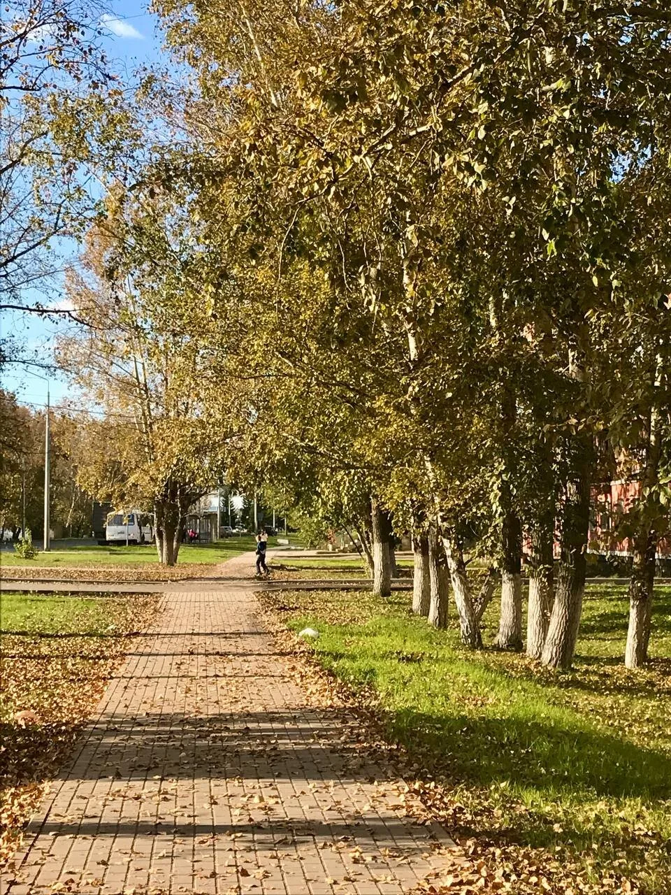 Здравствуй, октябрь! Город потихоньку становится золотым🍂