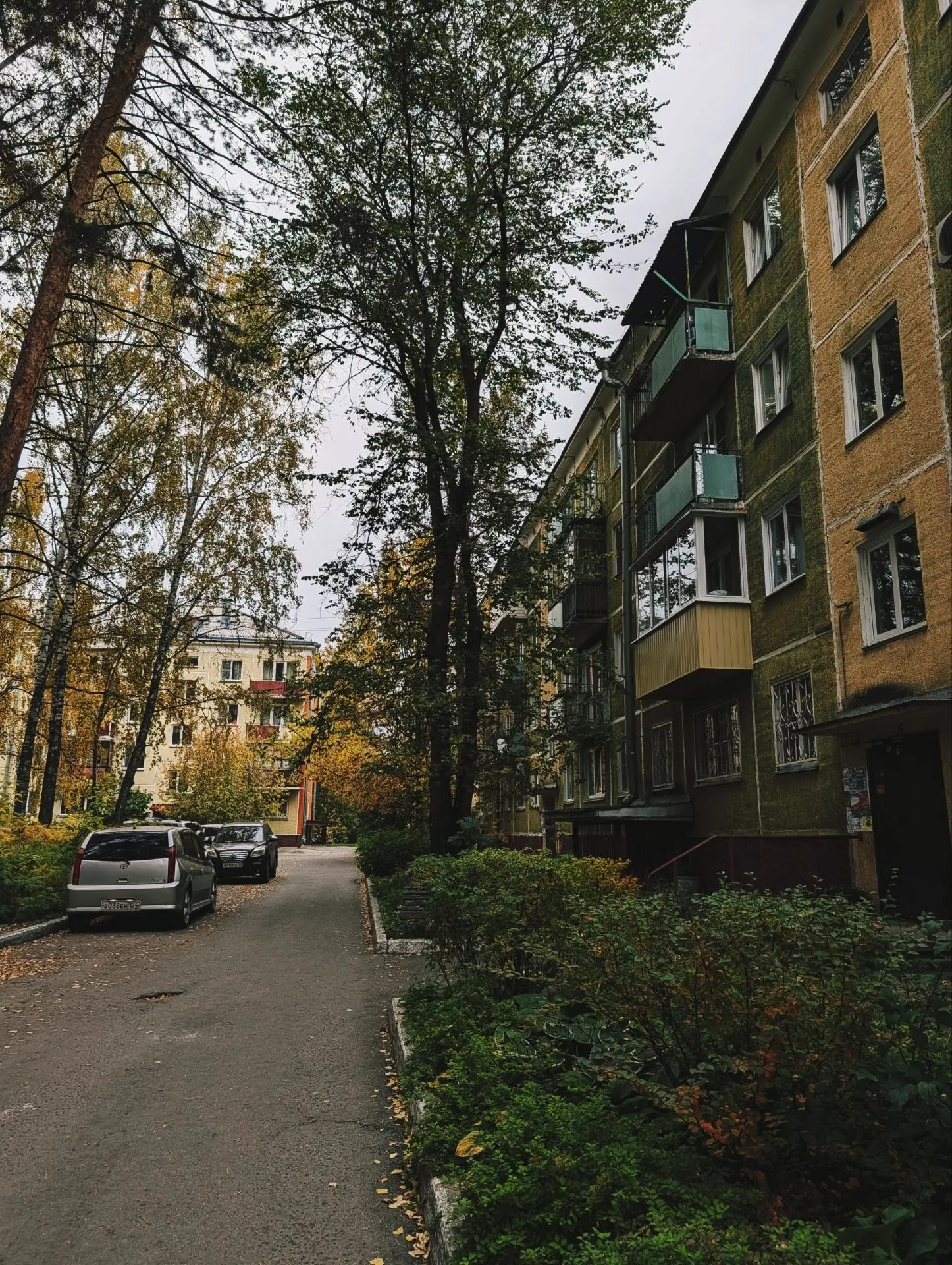 Погода сегодня порадовала