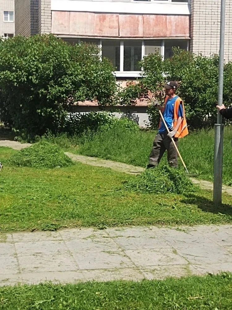 Покос травы - сейчас самая горячая пора! Тепло, дождь - лучшие условия для роста травы....
