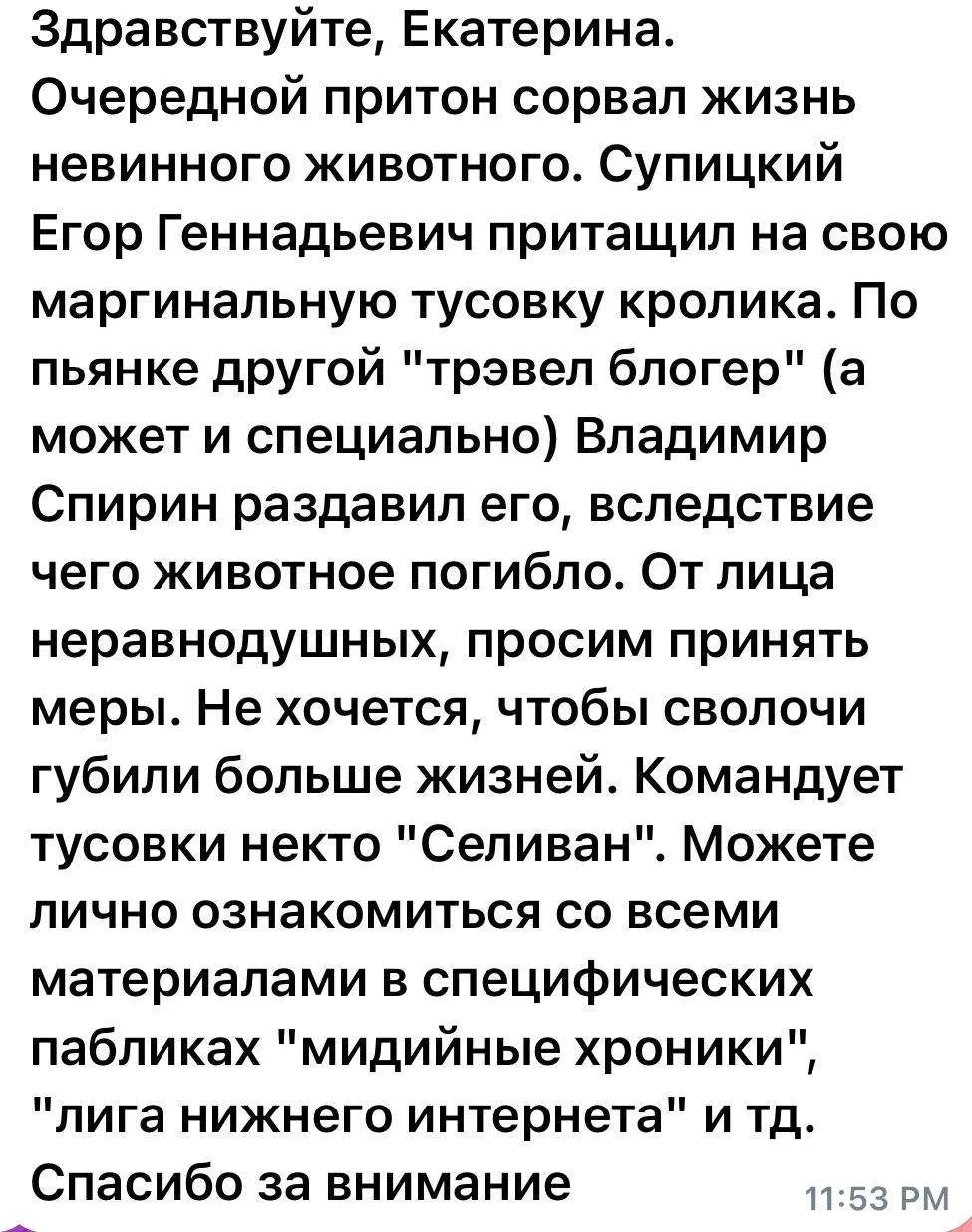 Изображение 2 к публикации «Екатерина Мизулина»