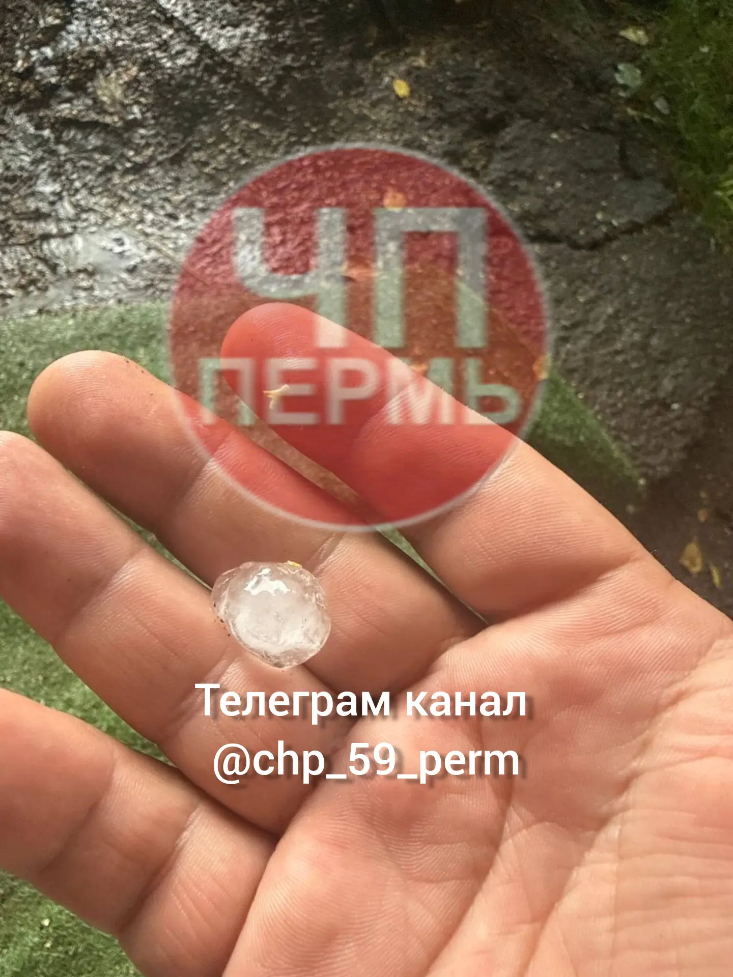 Град, около Гайвы д Заозерье