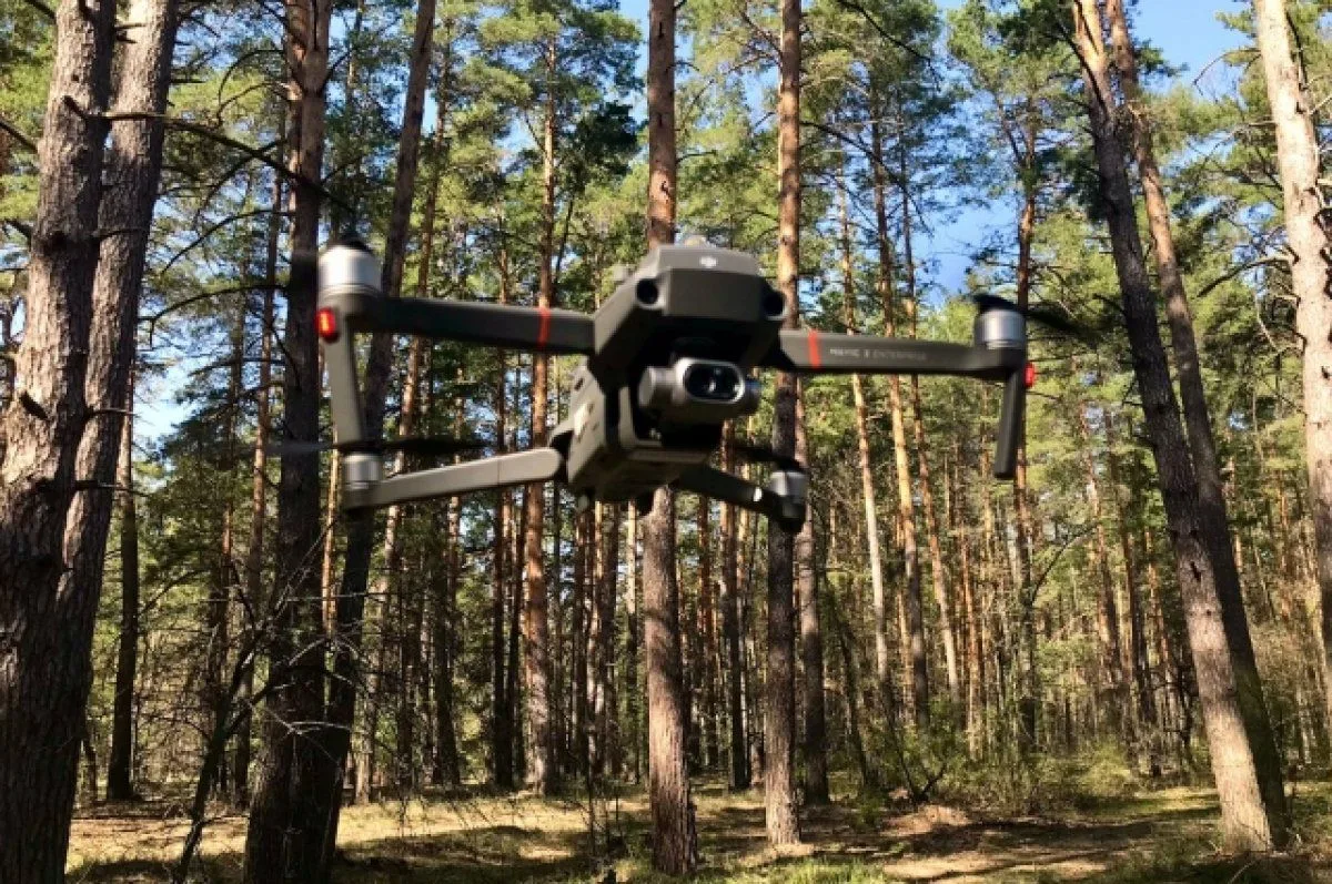 ⚡С 1 октября 2026 года обновлено Положение о федеральном государственном лесном контрол...