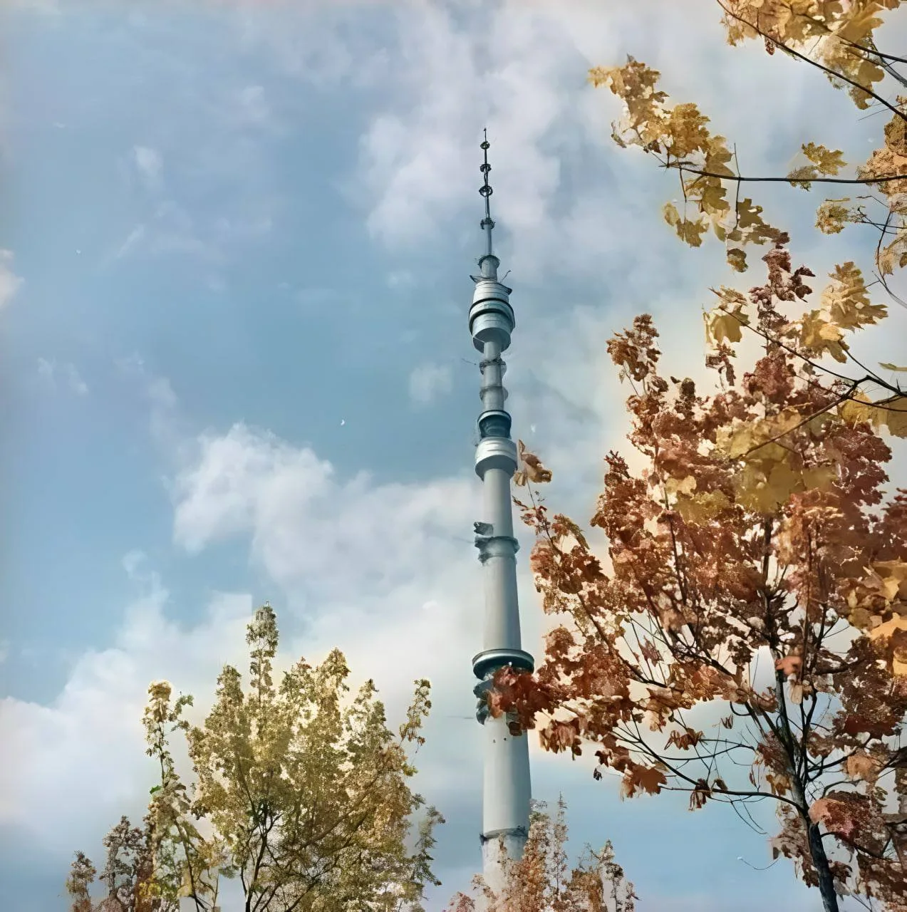 Доброе утро! 1967