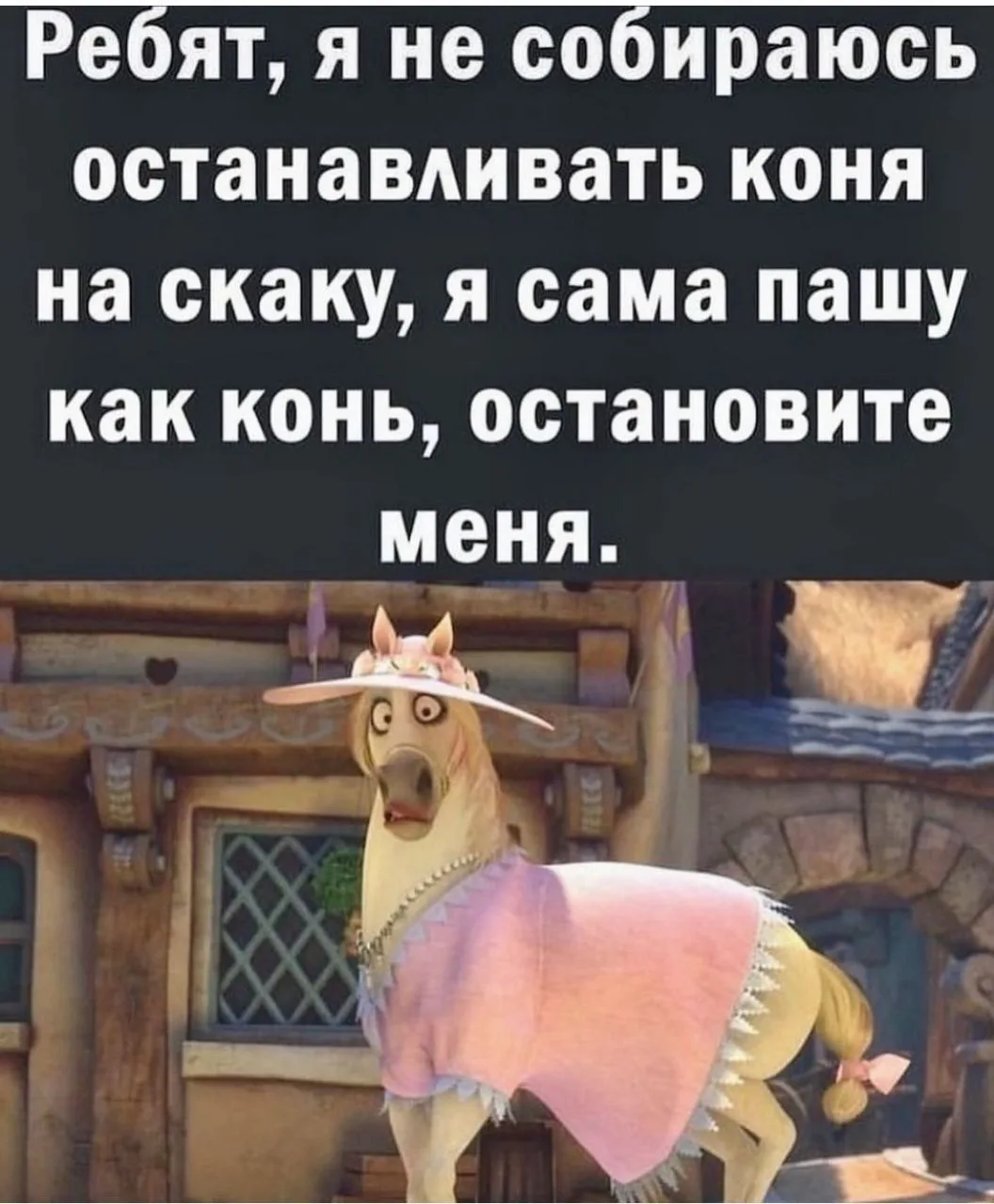 КУКУРУЗА 🌽