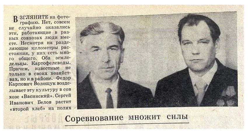 26 августа – День картофеля в России