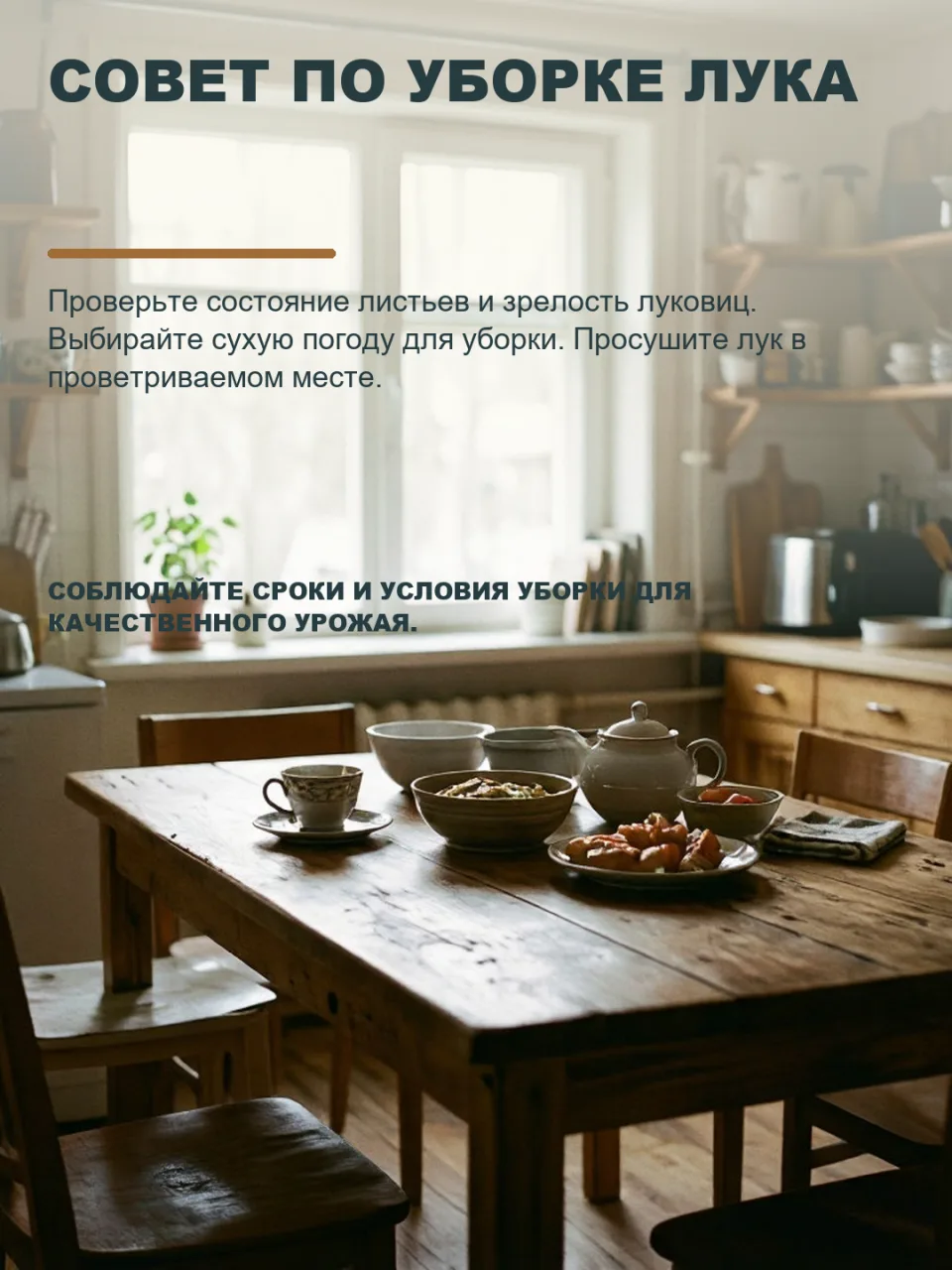НЕ ТОРОПИТЕСЬ ВЫКАПЫВАТЬ ЛУК: КАК ОПРЕДЕЛИТЬ ИДЕАЛЬНЫЙ МОМЕНТ ДЛЯ СБОРА УРОЖАЯ