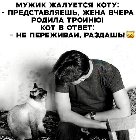 Добрый Мурзик 😻