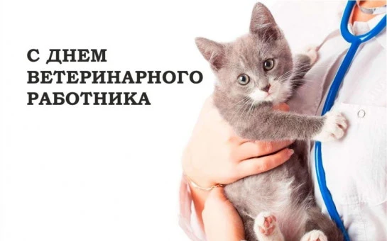 Уважаемые коллеги, работники и ветераны ветеринарной службы!