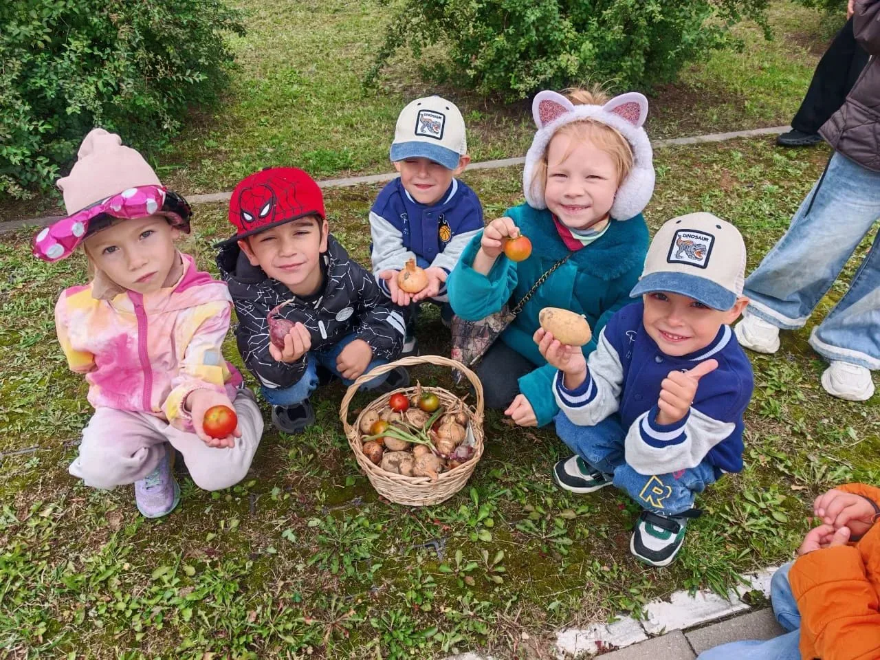 🌾 Сбор урожая в детском саду: радость труда и дары природы!