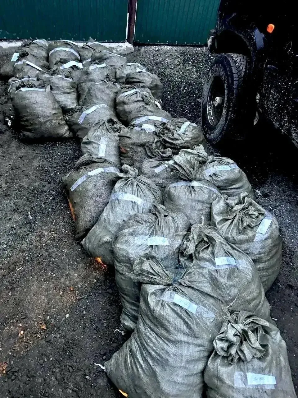 🐟13 458 корюшек и ущерб 740 тысяч: в Анивском районе дело о браконьерстве ушло в суд