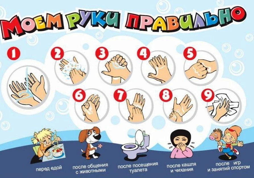 ✨В МБДОУ «Детский сад № 6 «Родничок» прошёл замечательный урок. Ребята узнали, как важн...