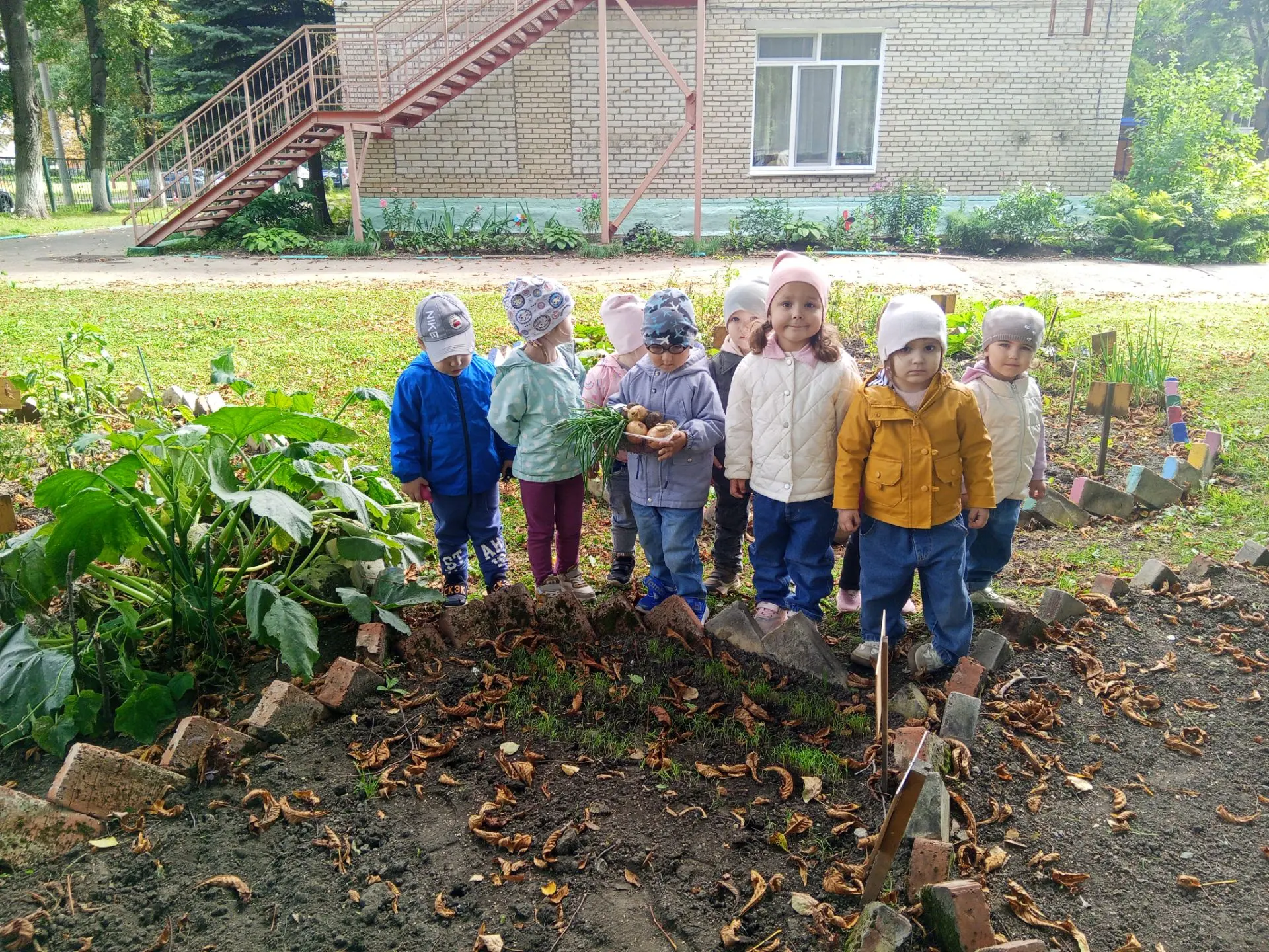 Огород наш маленький.