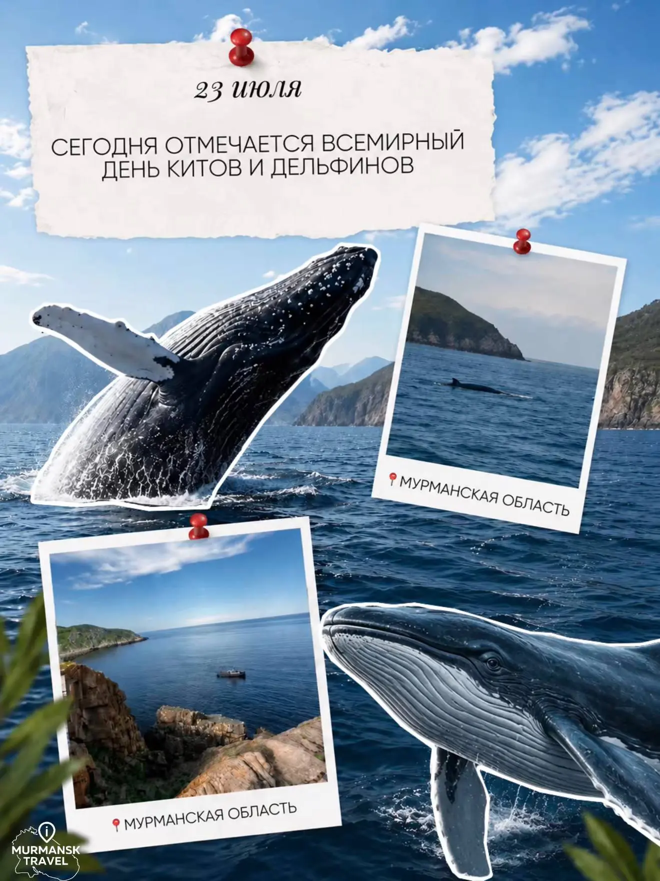 🐋 Сегодня отмечается Всемирный день китов и дельфинов

Баренцево море - одно из немногих мест, где 