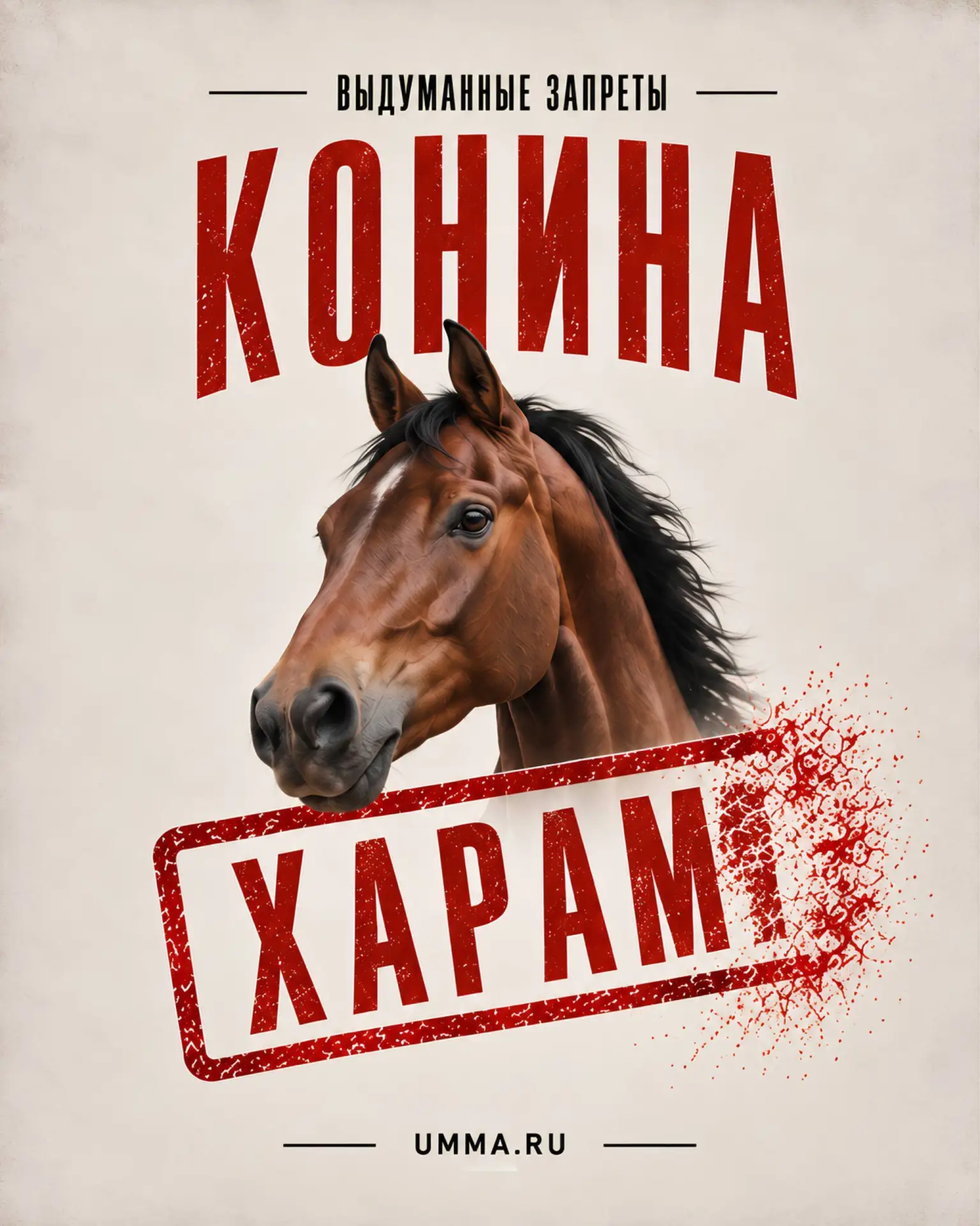 🚫 Интернет-заблуждение: «Мусульмане не едят конину».