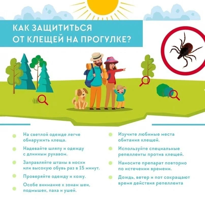 Июнь - июль — пик активности клещей.