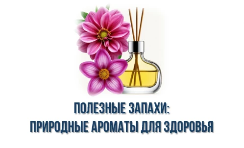 Запахи окружают нас повсюду: свежесваренный кофе по утрам, аромат хвои в лесу, запах бе...
