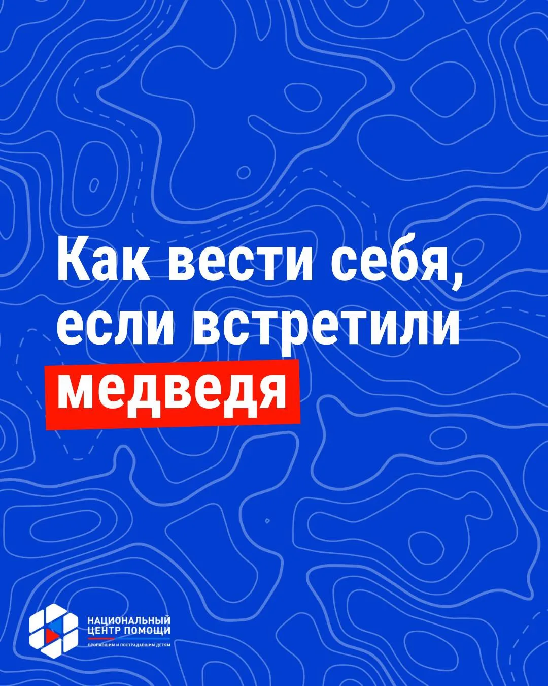 🐻 В Красноярском крае медведь растерзал двух грибников