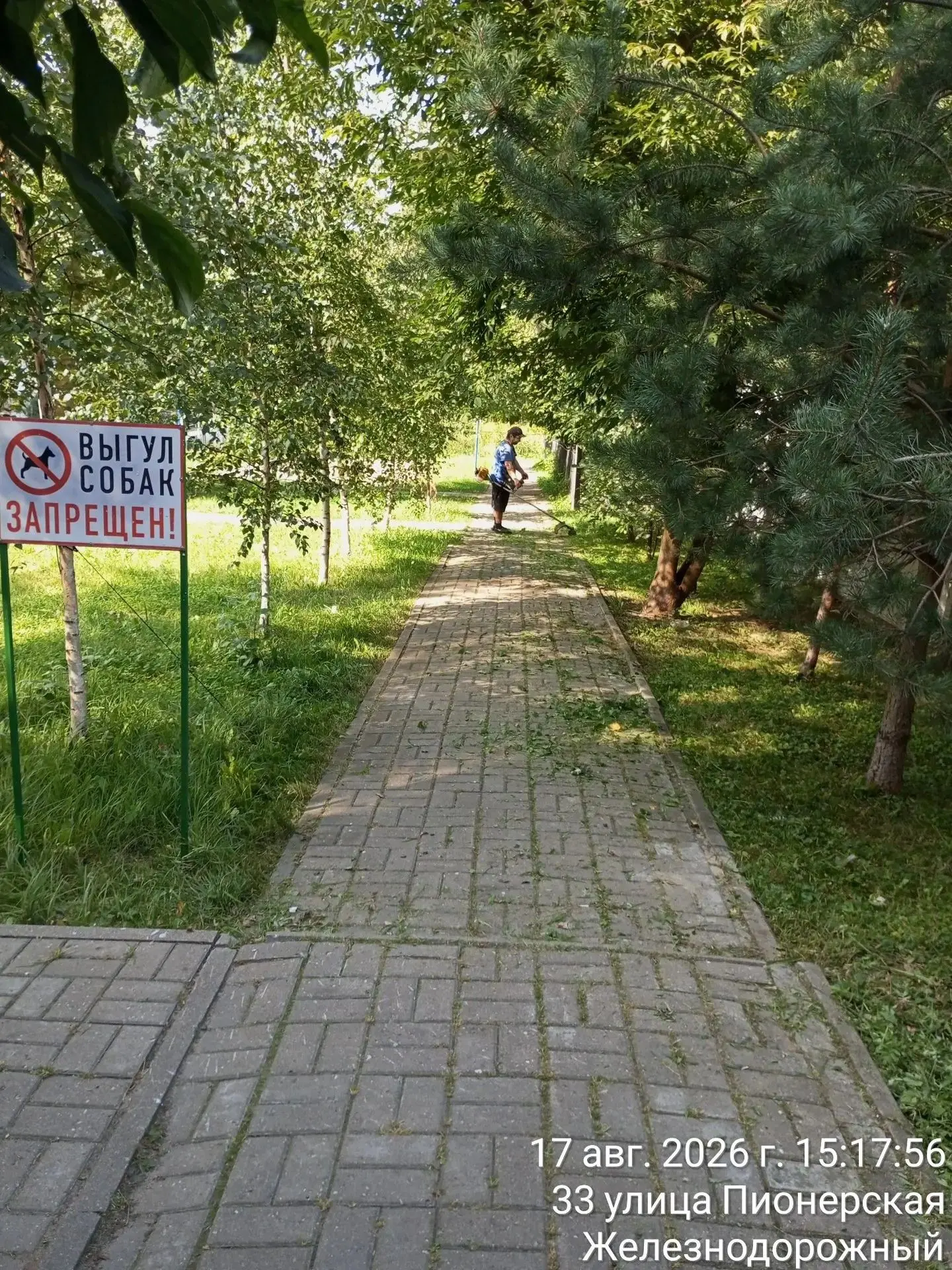 Проводим регулярный покос травы на дворовых территориях