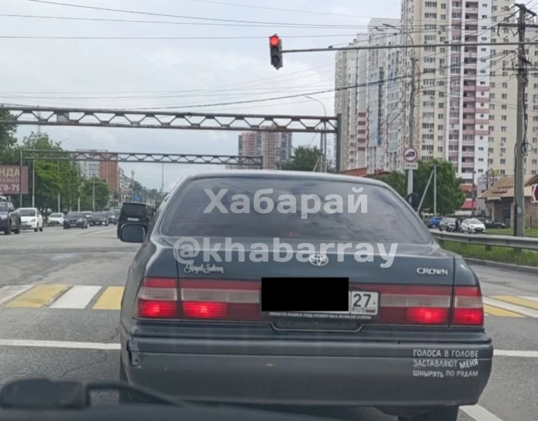 Слушают голоса в голове и борются с целлюлитом на дорогах Хабаровска 🫠