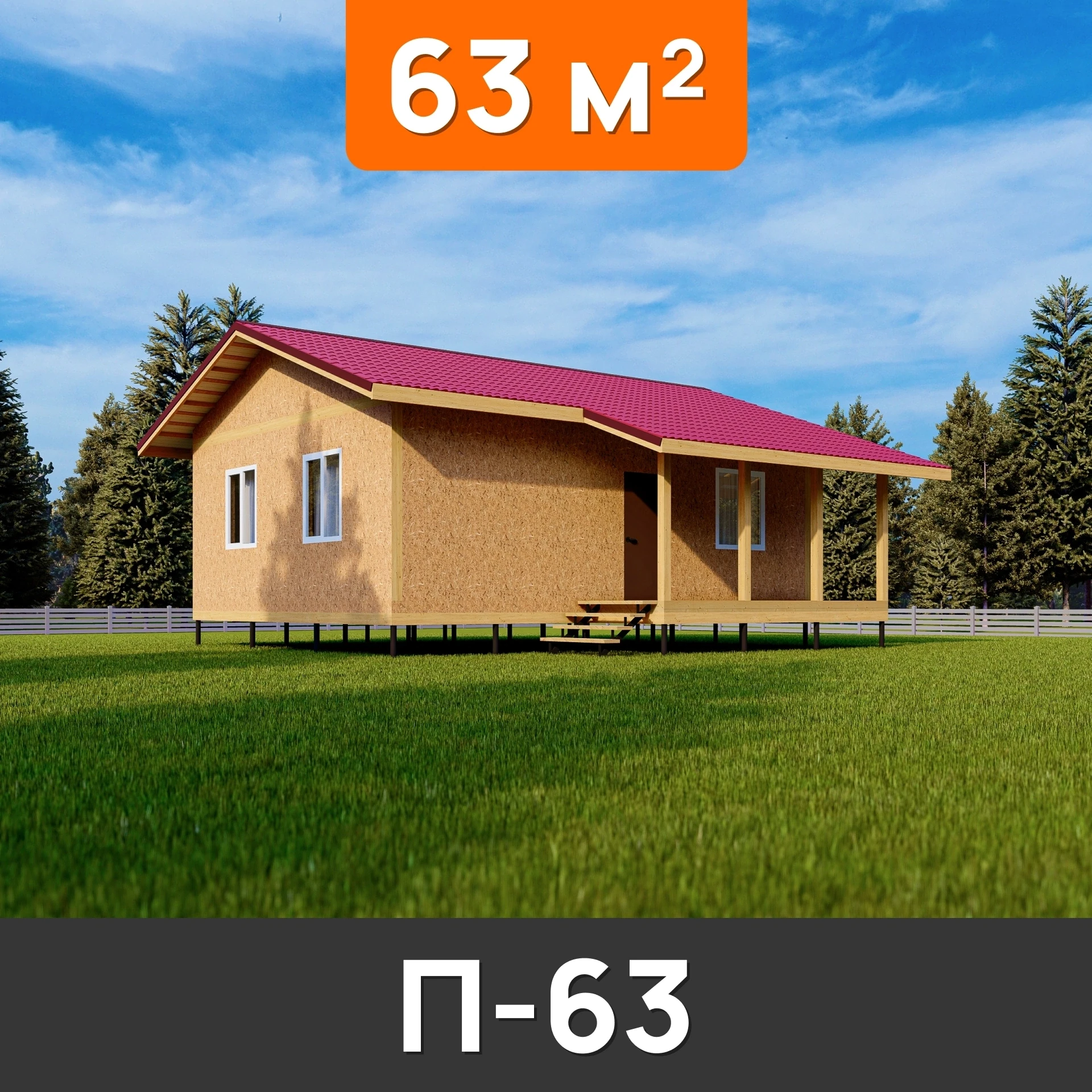 Проект П-63
