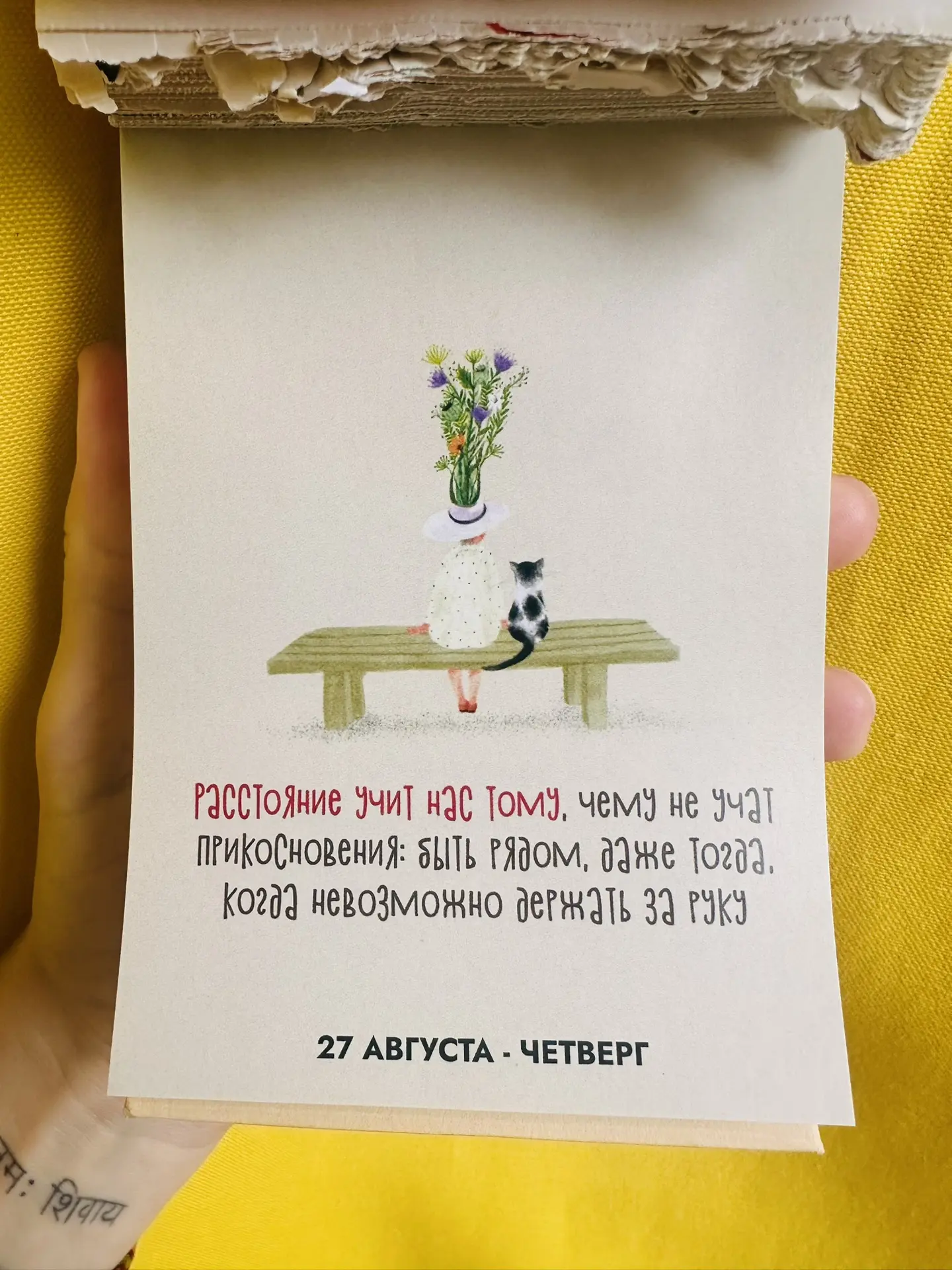 Доброе утро ☀️