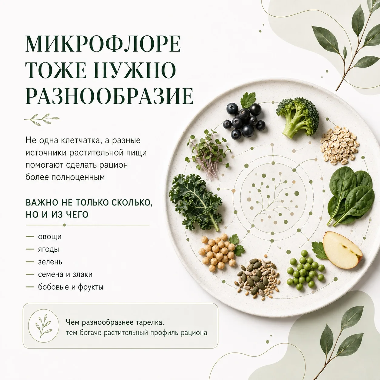МИКРОФЛОРЕ ТОЖЕ НУЖНО РАЗНООБРАЗИЕ