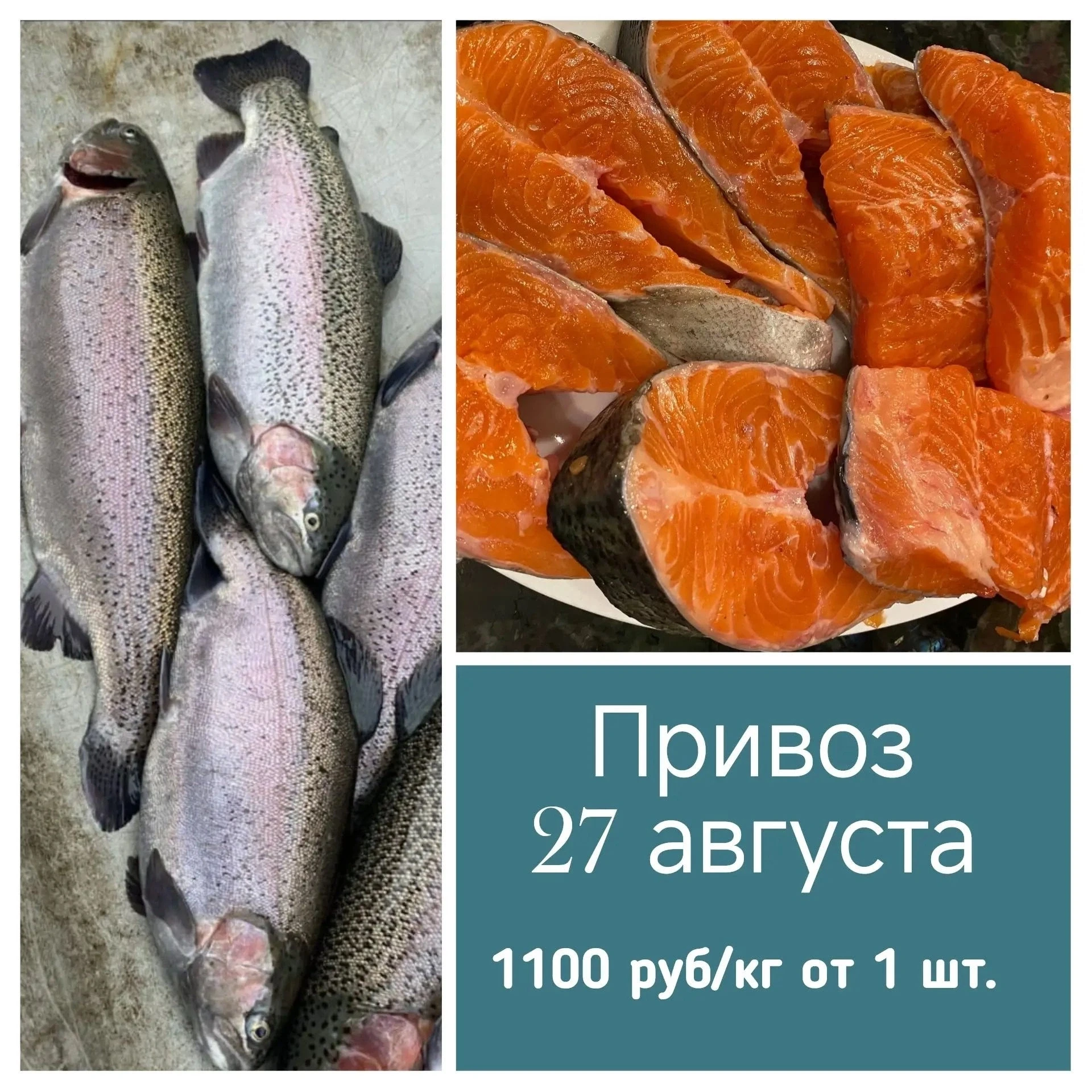 Дорогие друзья!