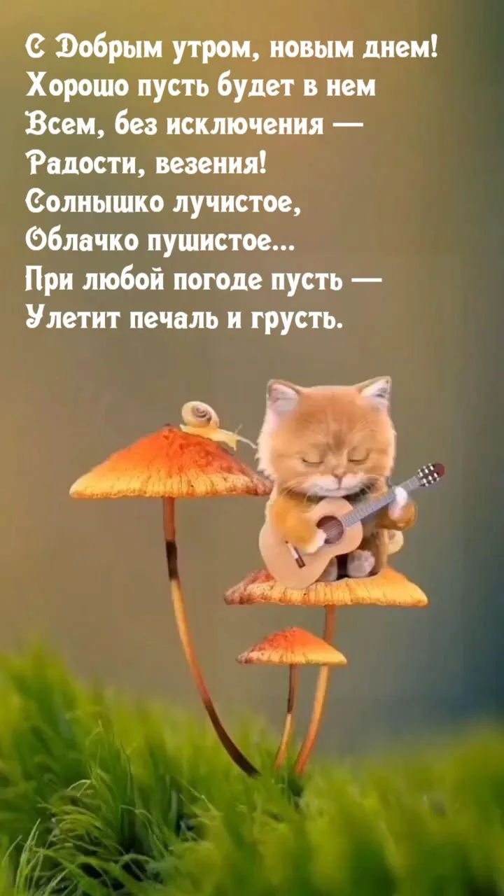 Список качественных каналов в МАКС | Смотреть ❤️