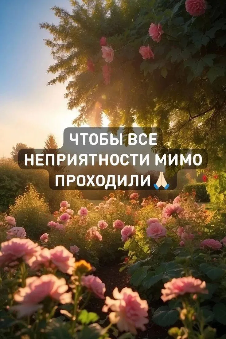 Слова читаются лёжа в кровати прямо с телефона, после прочтения нельзя разговаривать, а...