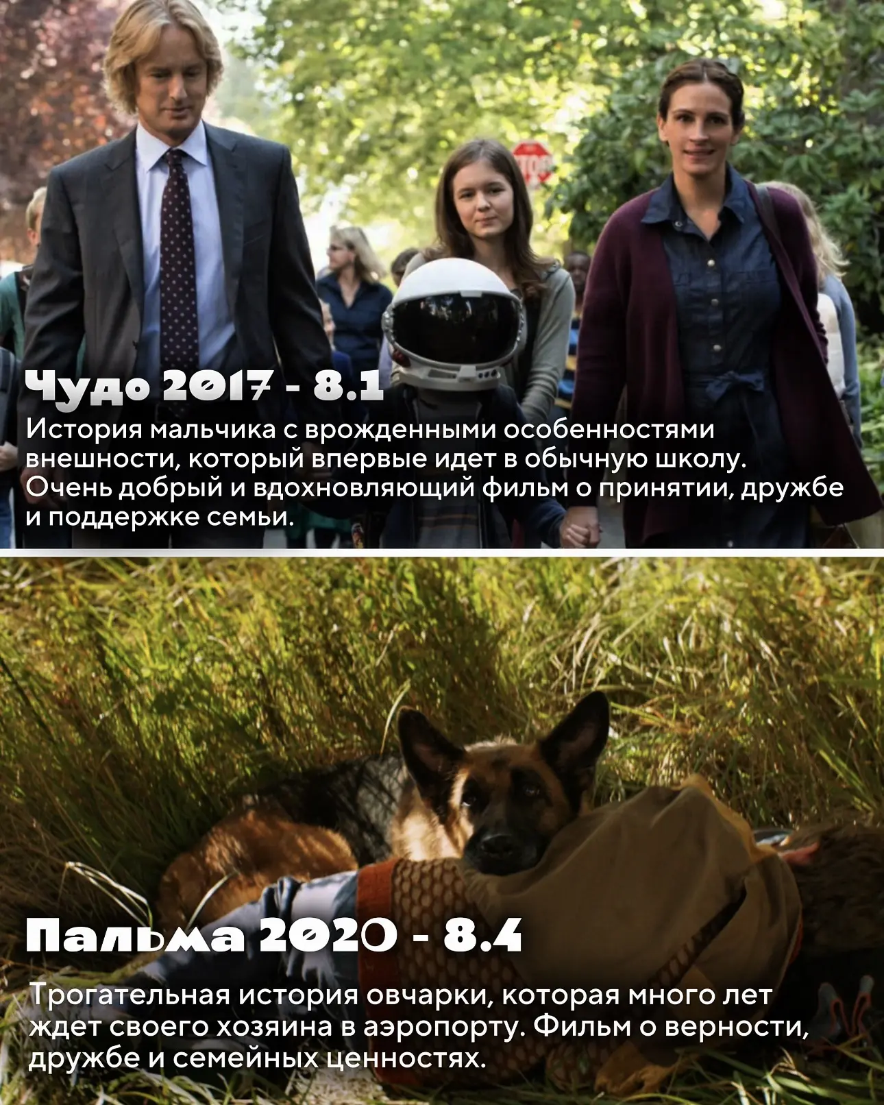 Разгар летних каникул - отличное время провести уютный вечер в окружении семьи!🍿