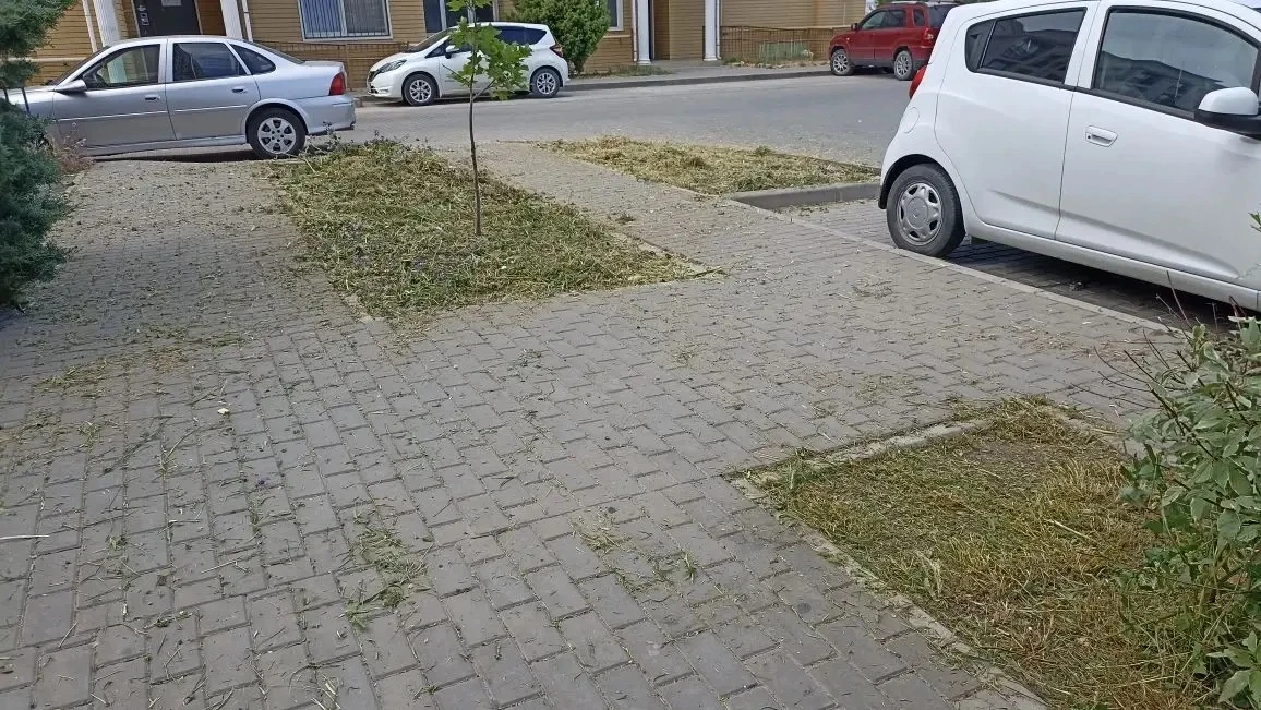 Уважаемые жильцы!

📌 Делимся информацией о проделанной работе:

10.06.2026

🔹 Выполнен покос травы